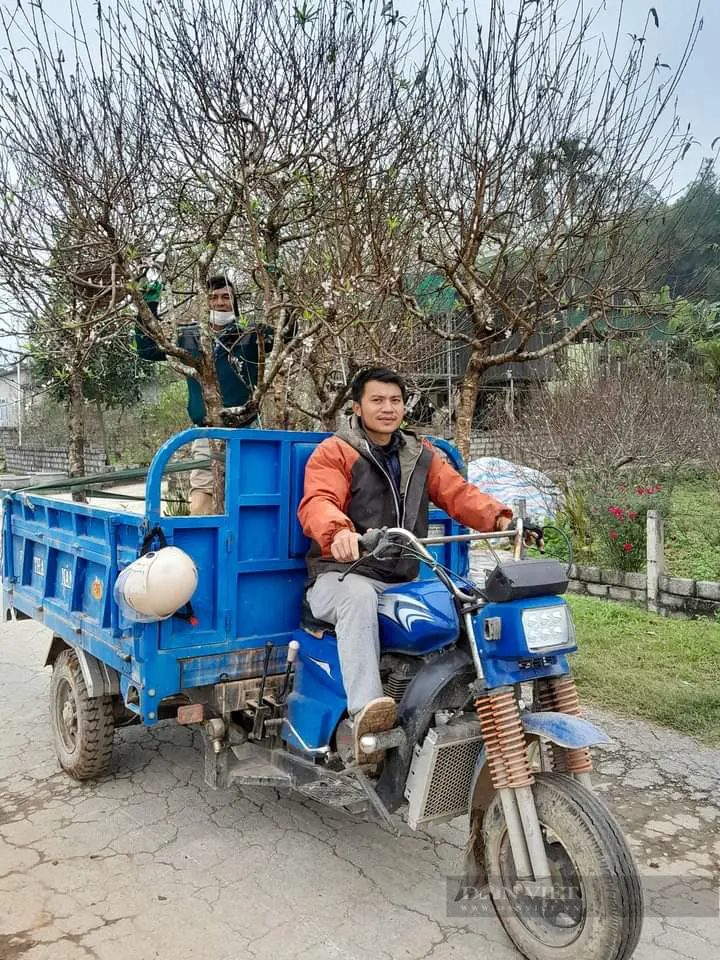 Một làng ở Nghệ An lại xuất hiện nhiều nhà khá, giàu nhờ trồng một loại cây báo hiệu mùa xuân- Ảnh 10.