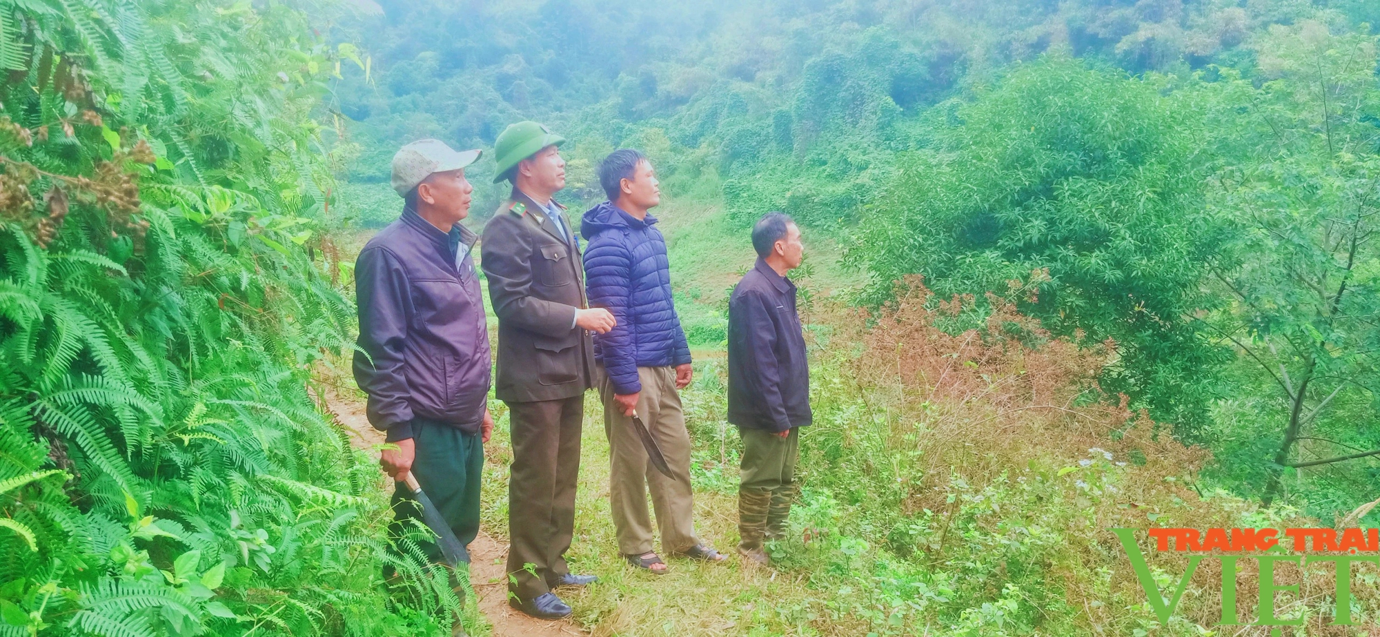 Cách đón tết của những "chiến sỹ" giữ rừng ở Lào Cai- Ảnh 2.