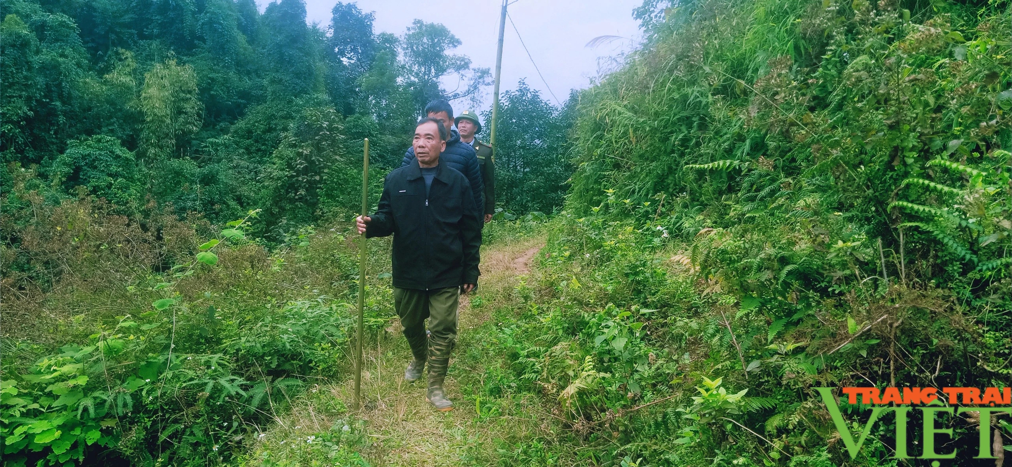 Cách đón tết của những "chiến sỹ" giữ rừng ở Lào Cai- Ảnh 4.