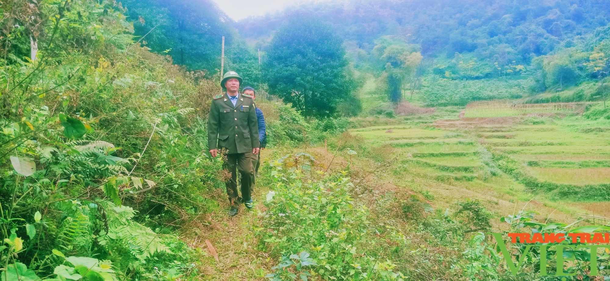 Cách đón tết của những "chiến sỹ" giữ rừng ở Lào Cai- Ảnh 5.