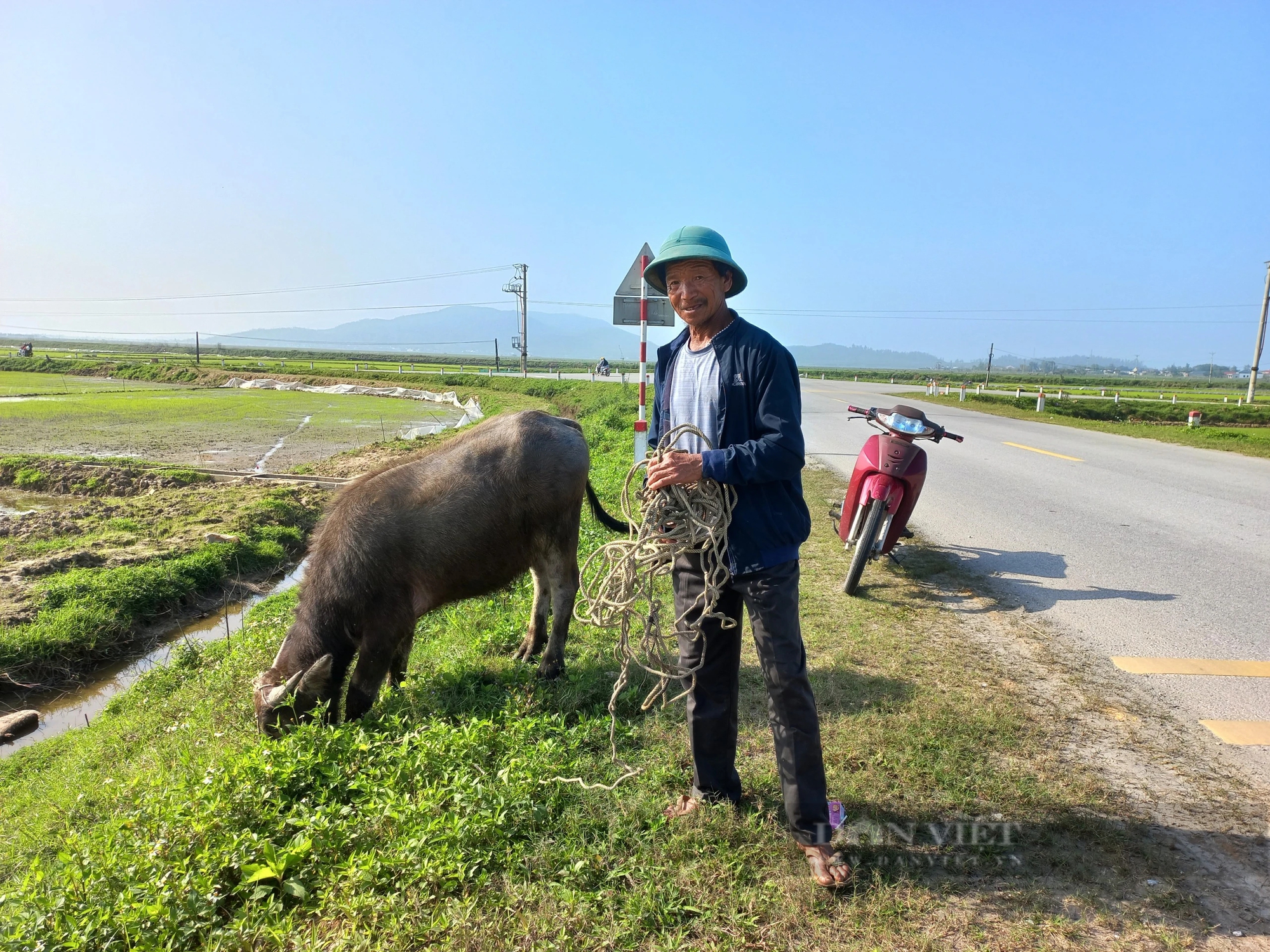 Ở Hà Tĩnh, lúa Xuân nơi hồi xanh, nơi dân đang cấy dặm dưới nắng ấm, xuống đồng thấy vui- Ảnh 8.