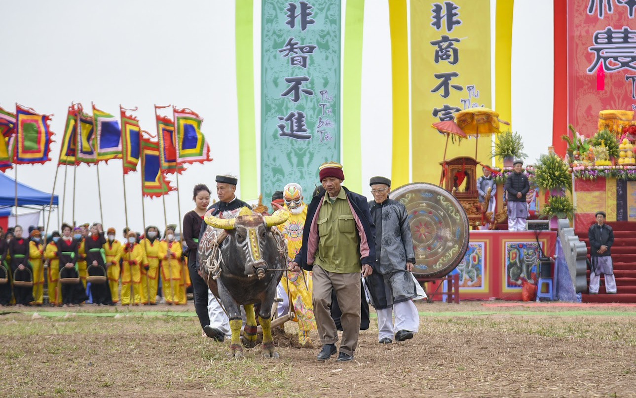 Lần đầu tiên tại Lễ hội Tịch điền Đọi Sơn năm 2024, tổ chức cho nông dân xã Tiên Sơn thi cày ruộng