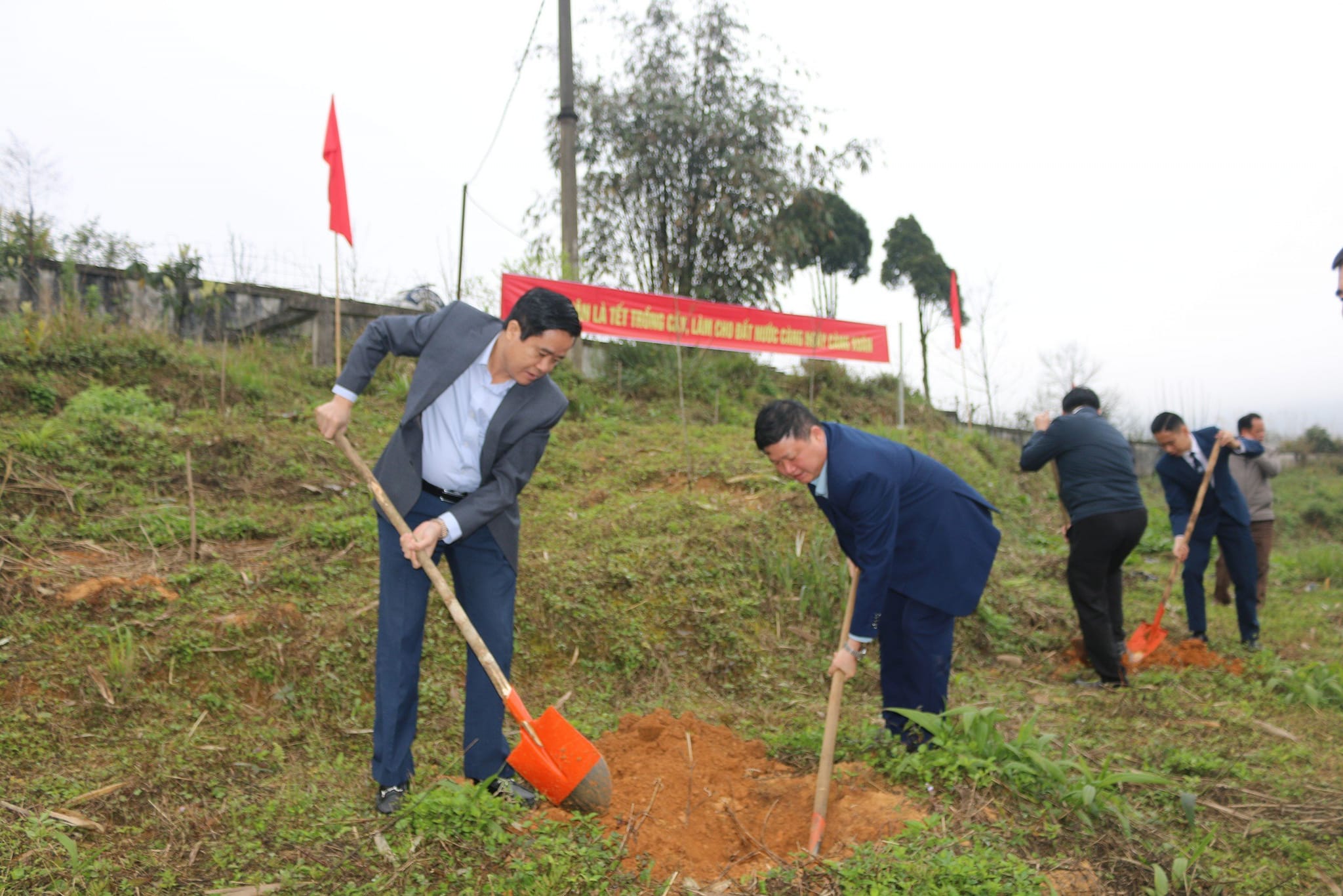Lào Cai: Phấn đấu trồng 80.000 cây xanh đầu xuân năm mới- Ảnh 4.