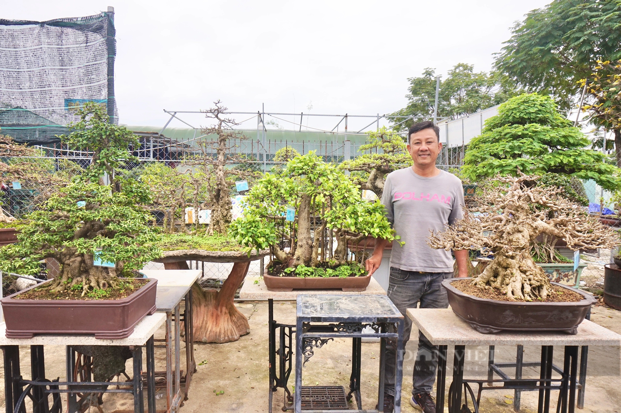Vườn trồng cây cảnh toàn chậu bonsai độc lạ, một nông dân Đà Nẵng vừa làm vừa chơi lại rủng rỉnh tiền- Ảnh 1.