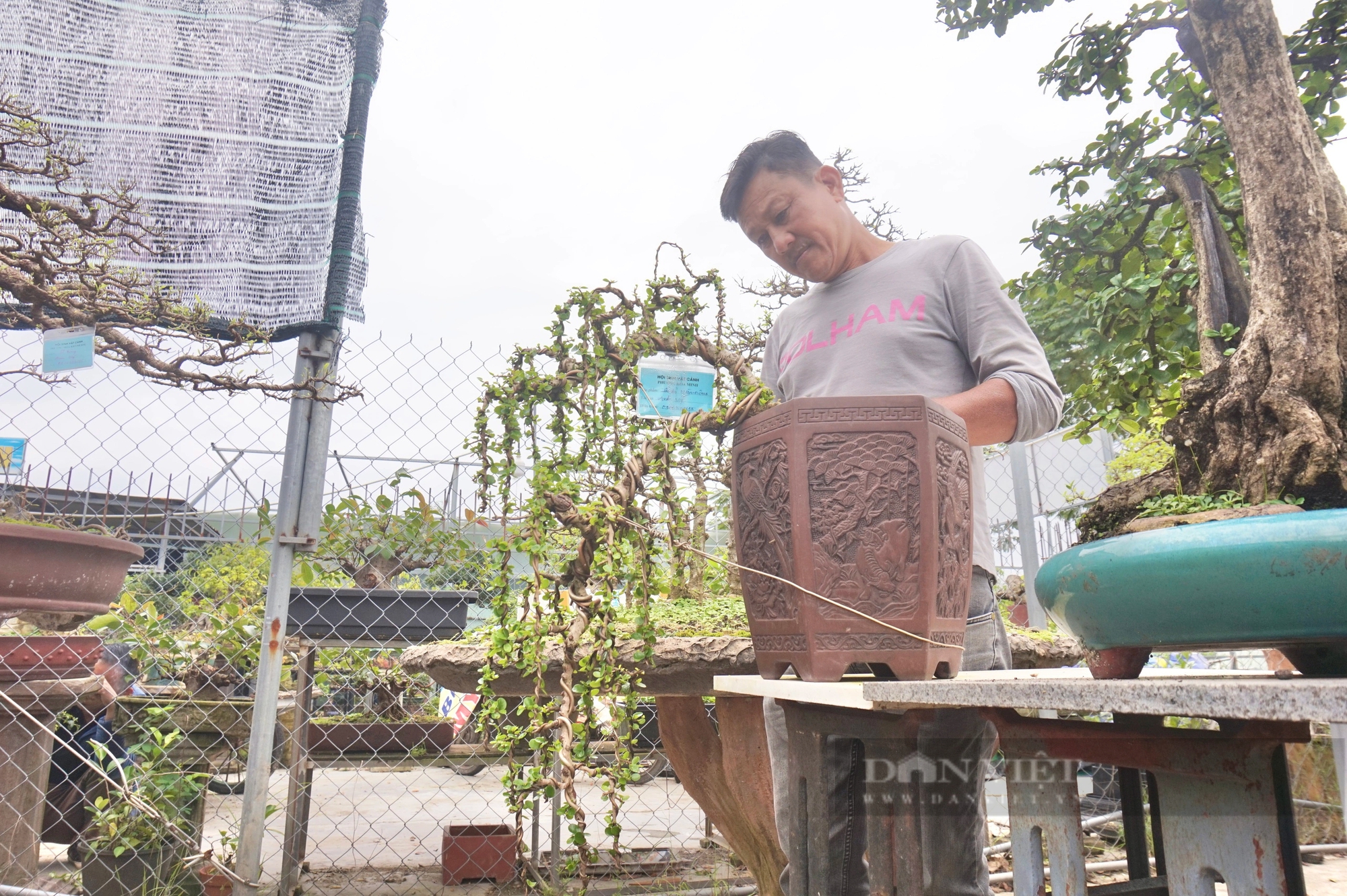 Vườn trồng cây cảnh toàn chậu bonsai độc lạ, một nông dân Đà Nẵng vừa làm vừa chơi lại rủng rỉnh tiền- Ảnh 4.