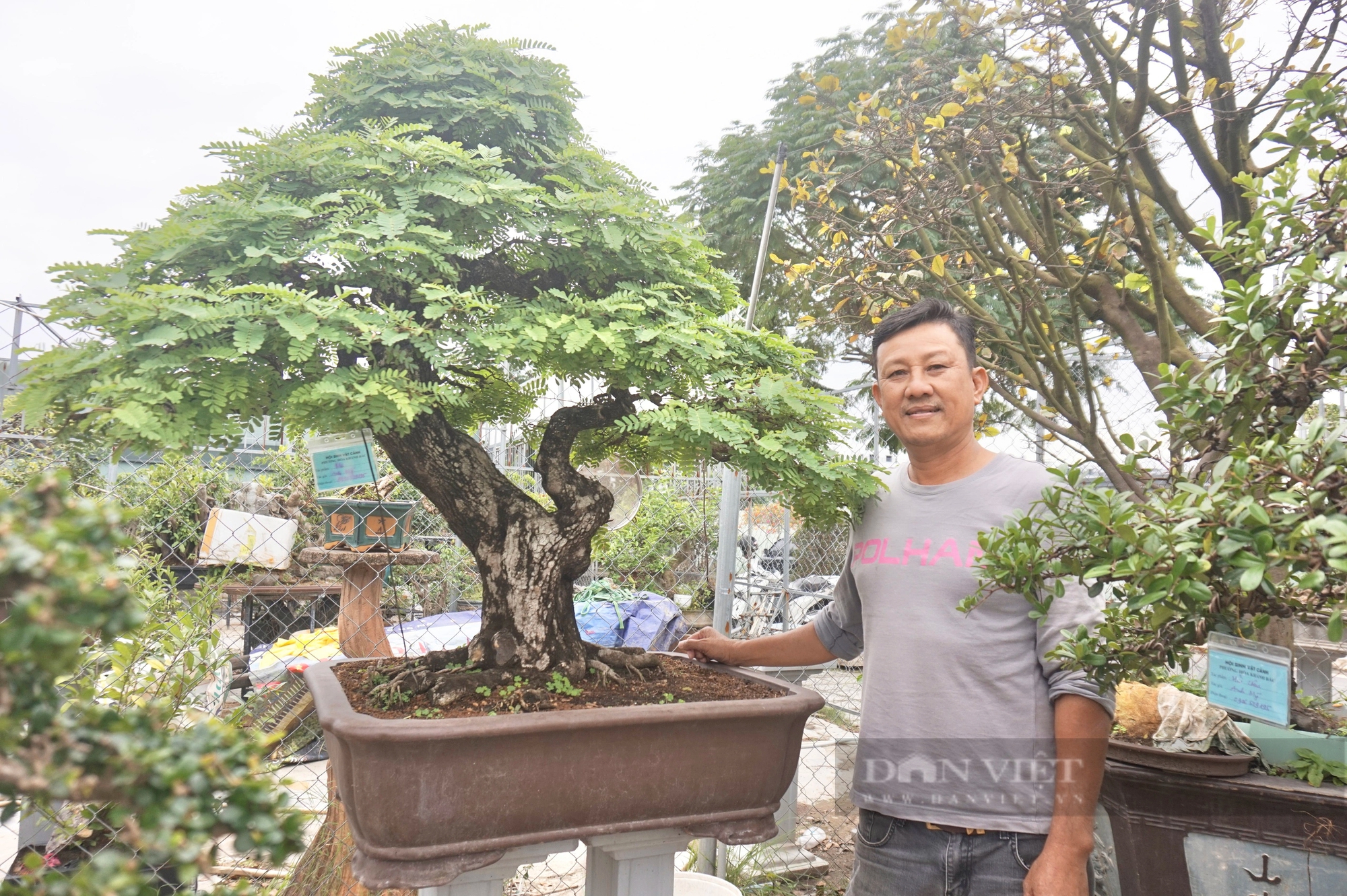 Vườn trồng cây cảnh toàn chậu bonsai độc lạ, một nông dân Đà Nẵng vừa làm vừa chơi lại rủng rỉnh tiền- Ảnh 5.