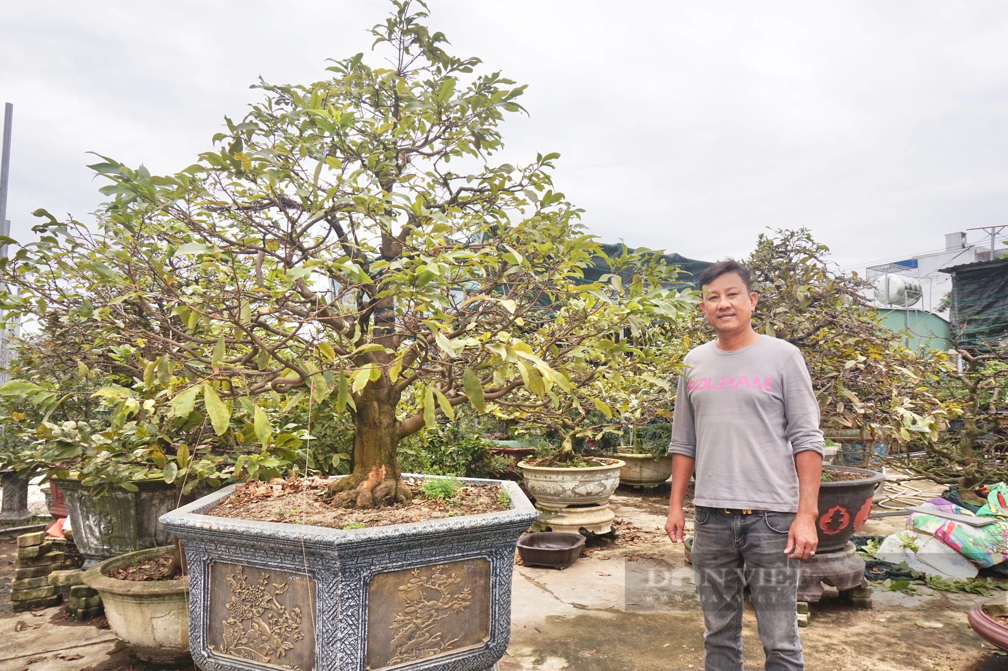 Vườn trồng cây cảnh toàn chậu bonsai độc lạ, một nông dân Đà Nẵng vừa làm vừa chơi lại rủng rỉnh tiền- Ảnh 10.
