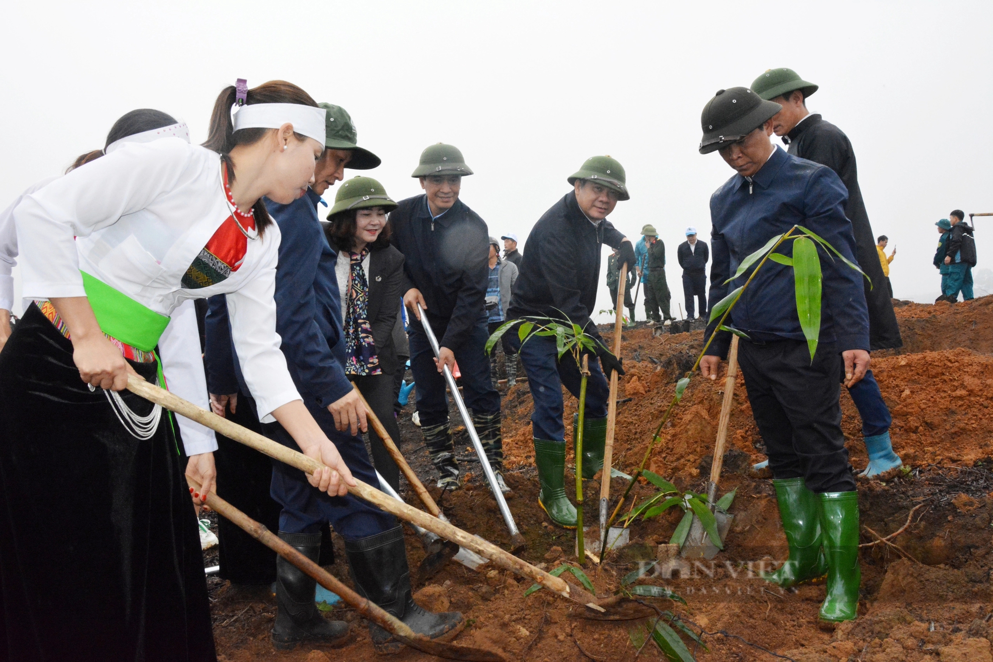 Hưởng ứng Tết trồng cây 2024, Phú Thọ sẽ trồng 945.000 cây xanh, Yên Bái trồng 15.000ha rừng- Ảnh 4.