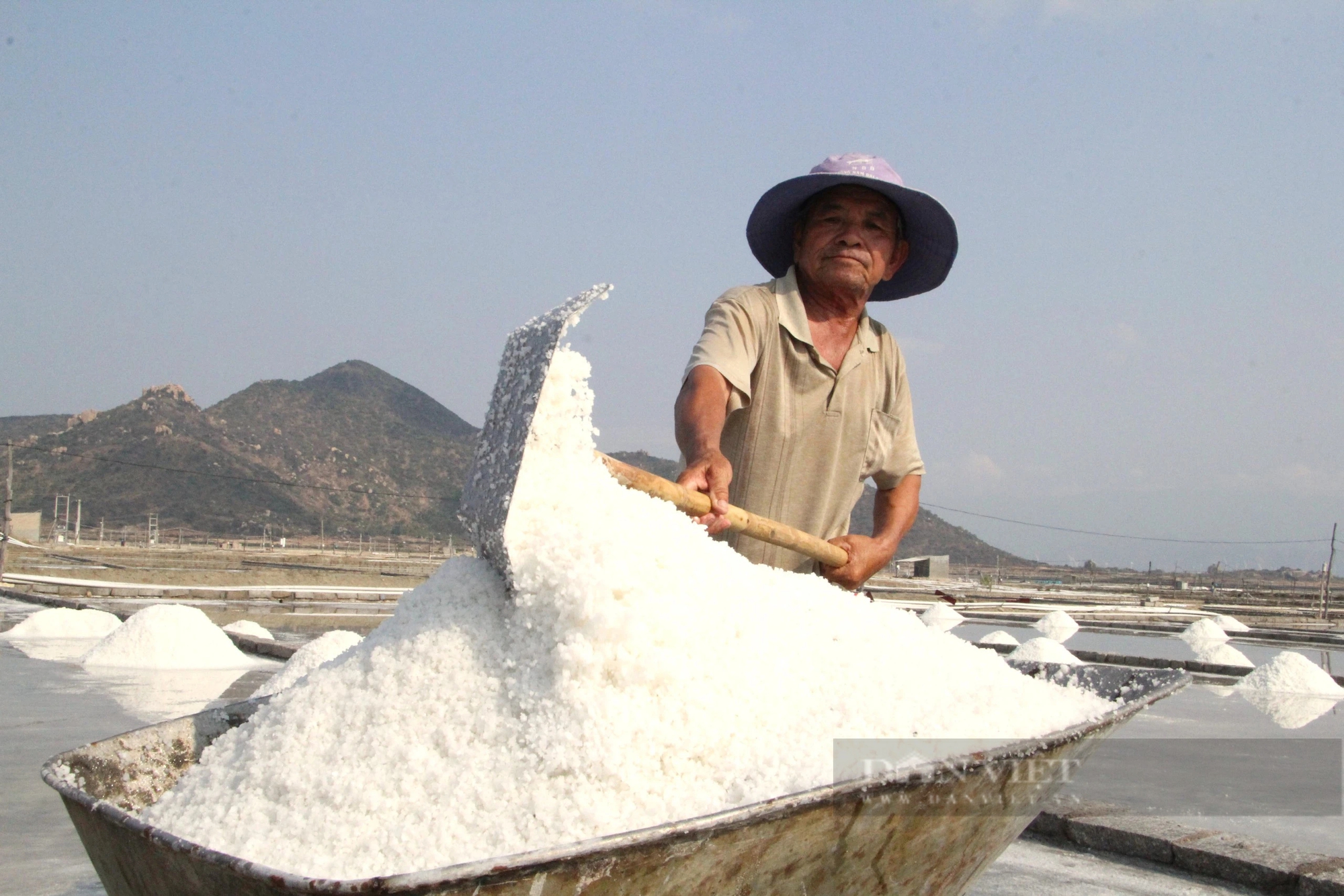 Diêm dân Ninh Thuận đầu năm ra đồng thu hoạch muối, ai cũng vui vì sản lượng tăng - Ảnh 4.