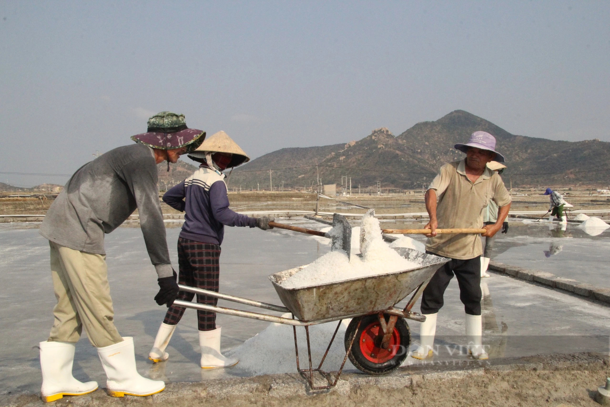 Diêm dân Ninh Thuận đầu năm ra đồng thu hoạch muối, ai cũng vui vì sản lượng tăng - Ảnh 5.