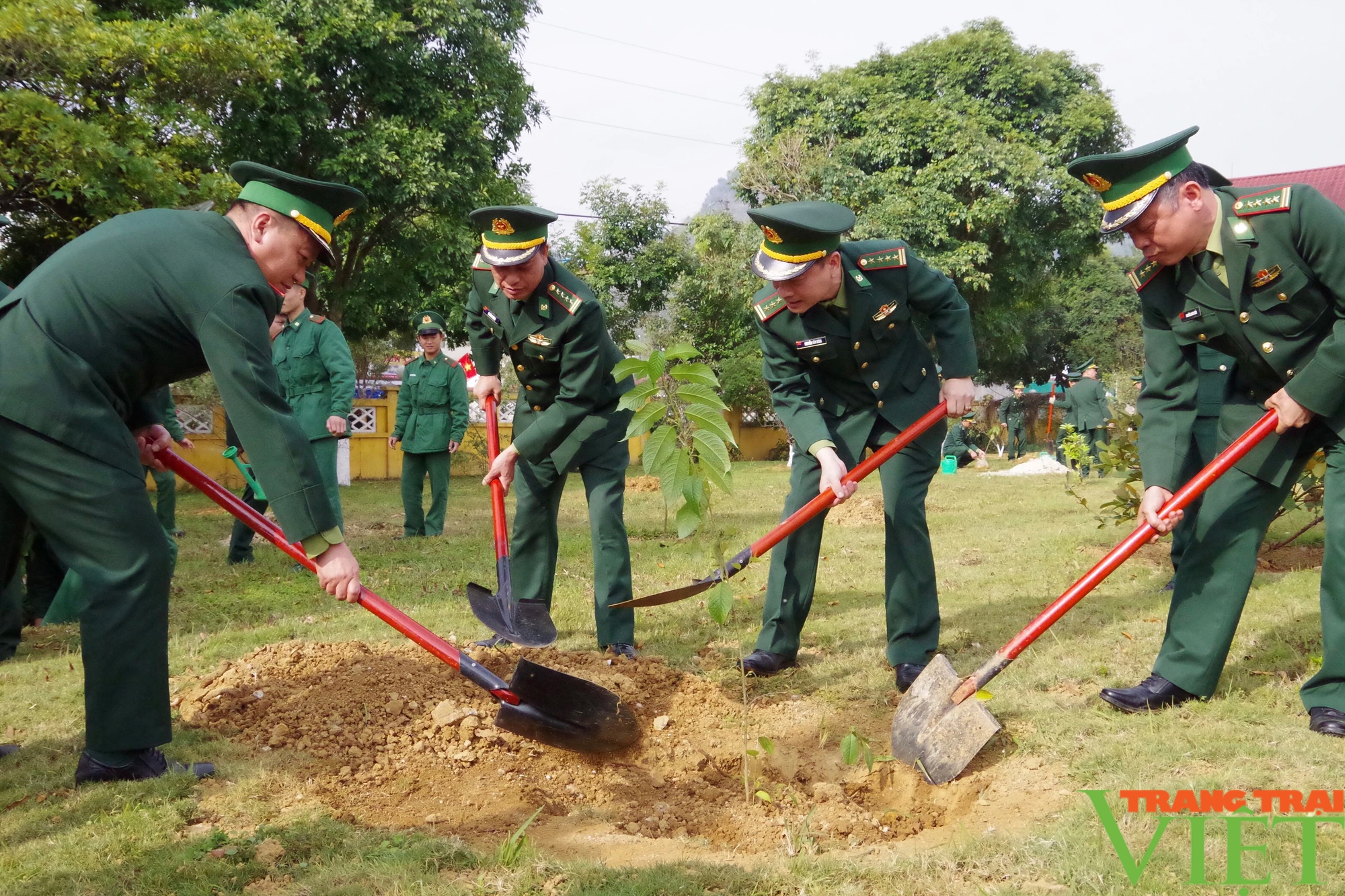 BĐBP tỉnh Lai Châu với phong trào Tết trồng cây "Đời đời nhớ ơn Bác Hồ"- Ảnh 2.