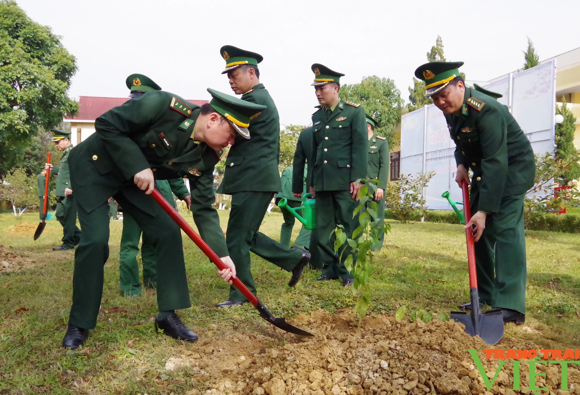 BĐBP tỉnh Lai Châu với phong trào Tết trồng cây "Đời đời nhớ ơn Bác Hồ"- Ảnh 8.