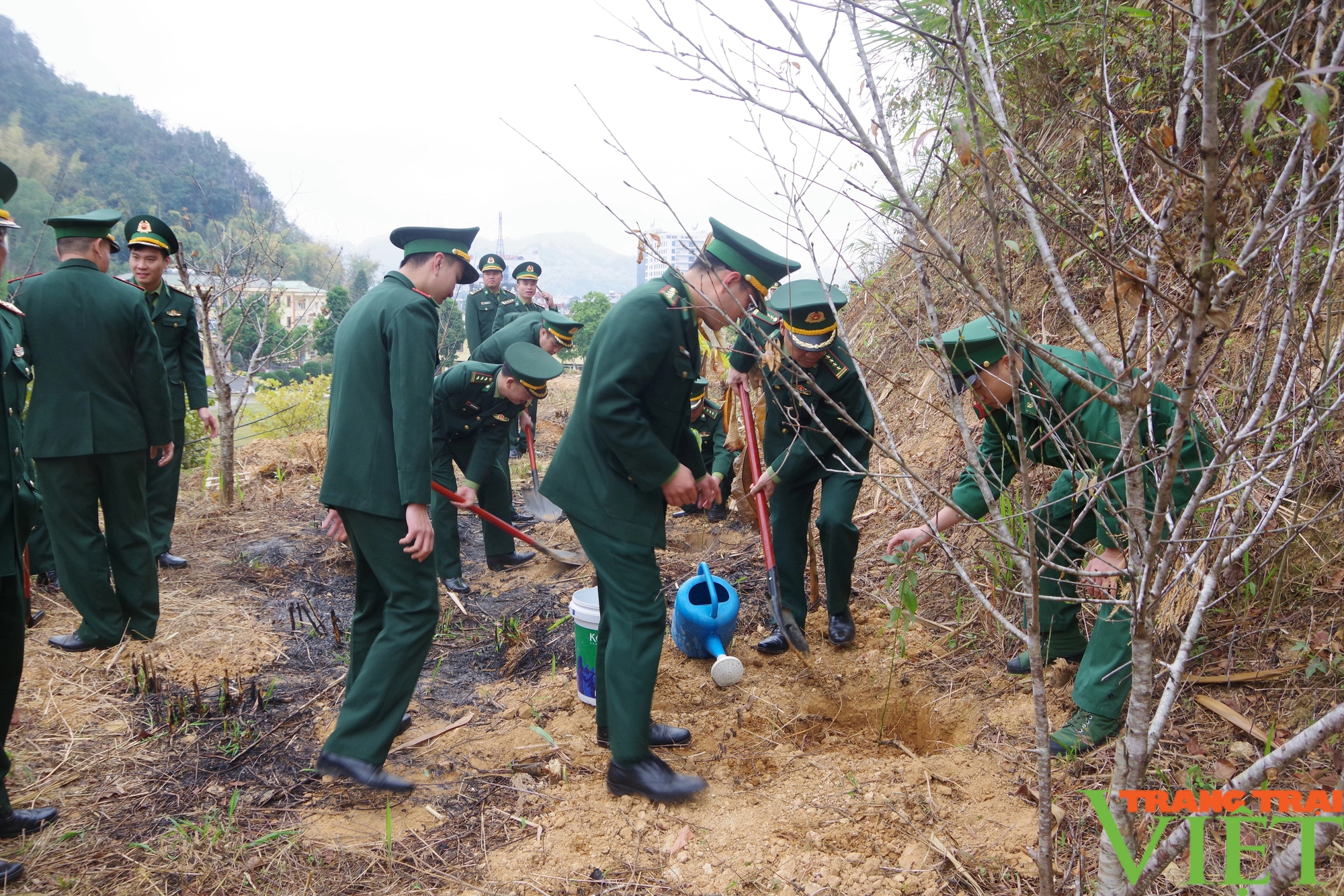 Bộ chỉ huy BĐBP Sơn La trồng hơn 1.000 cây xanh- Ảnh 1.
