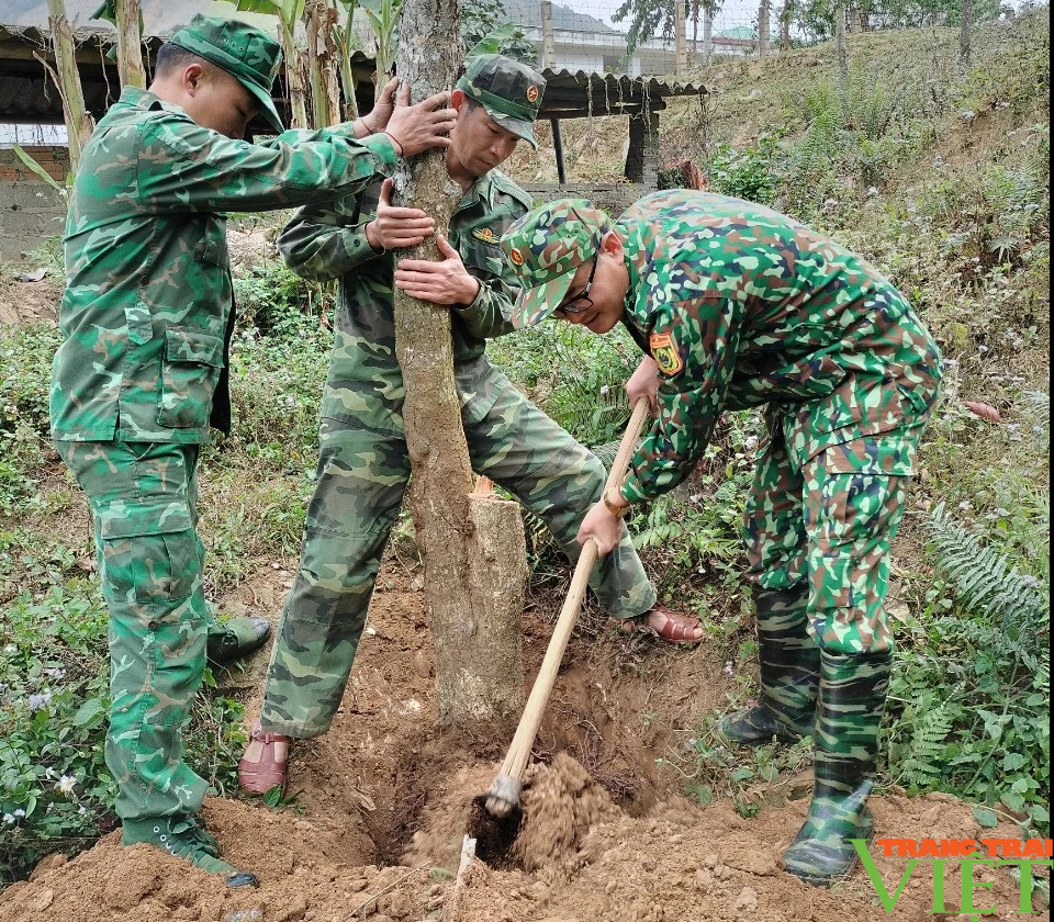 Bộ chỉ huy BĐBP Sơn La trồng hơn 1.000 cây xanh- Ảnh 3.