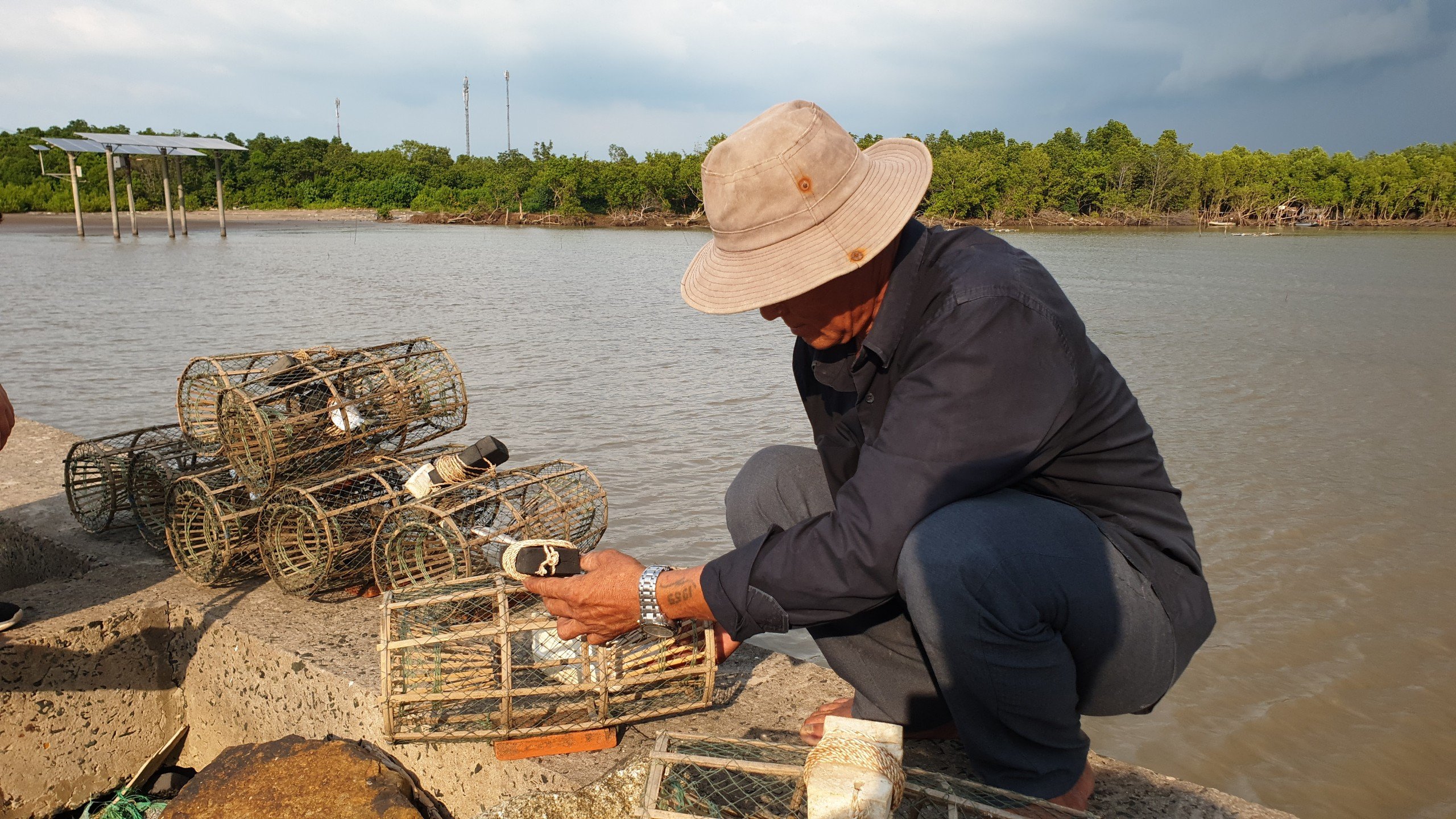 Dân một xã của tỉnh Cà Mau dùng cái rọ hình thù kỳ dị để bắt con đặc sản ở bìa rừng biển Tây- Ảnh 3.