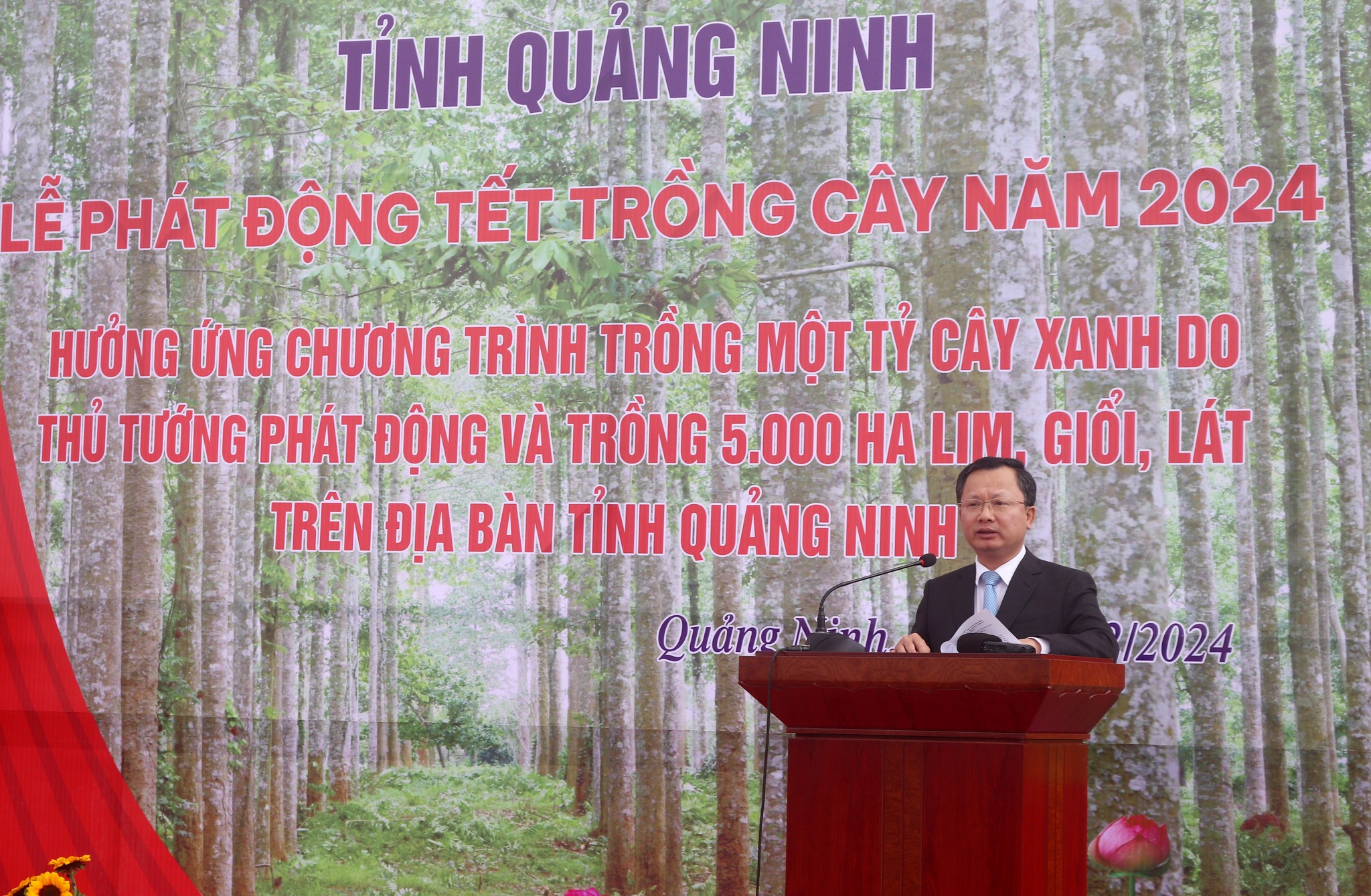 Quảng Ninh phấn đấu trồng 1.000ha cây lim, giổi, lát trong năm 2024- Ảnh 2.