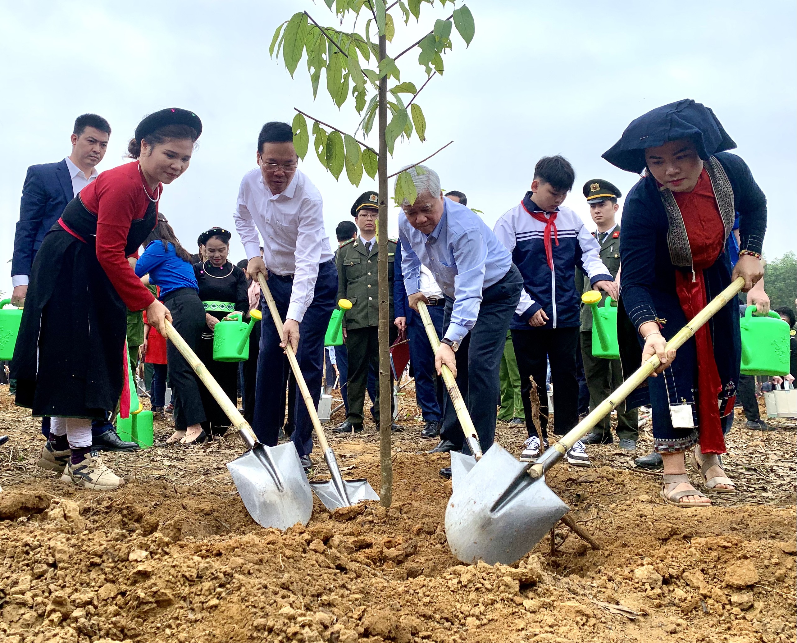 Chủ tịch nước Võ Văn Thưởng: Mỗi cây rừng trồng là món quà vô giá gửi đến tương lai - Ảnh 2.