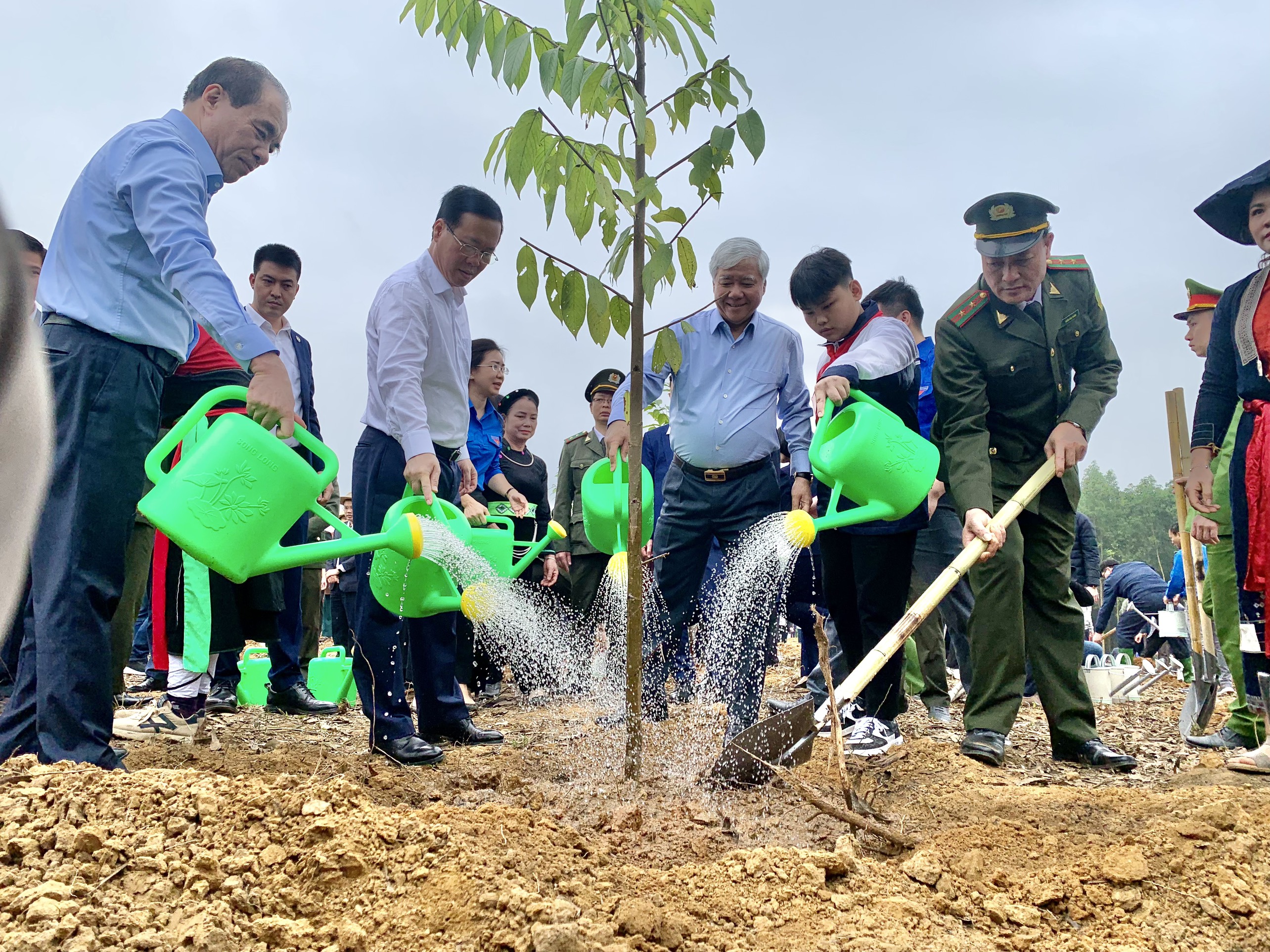 Chủ tịch nước Võ Văn Thưởng: Mỗi cây rừng trồng là món quà vô giá gửi đến tương lai - Ảnh 3.