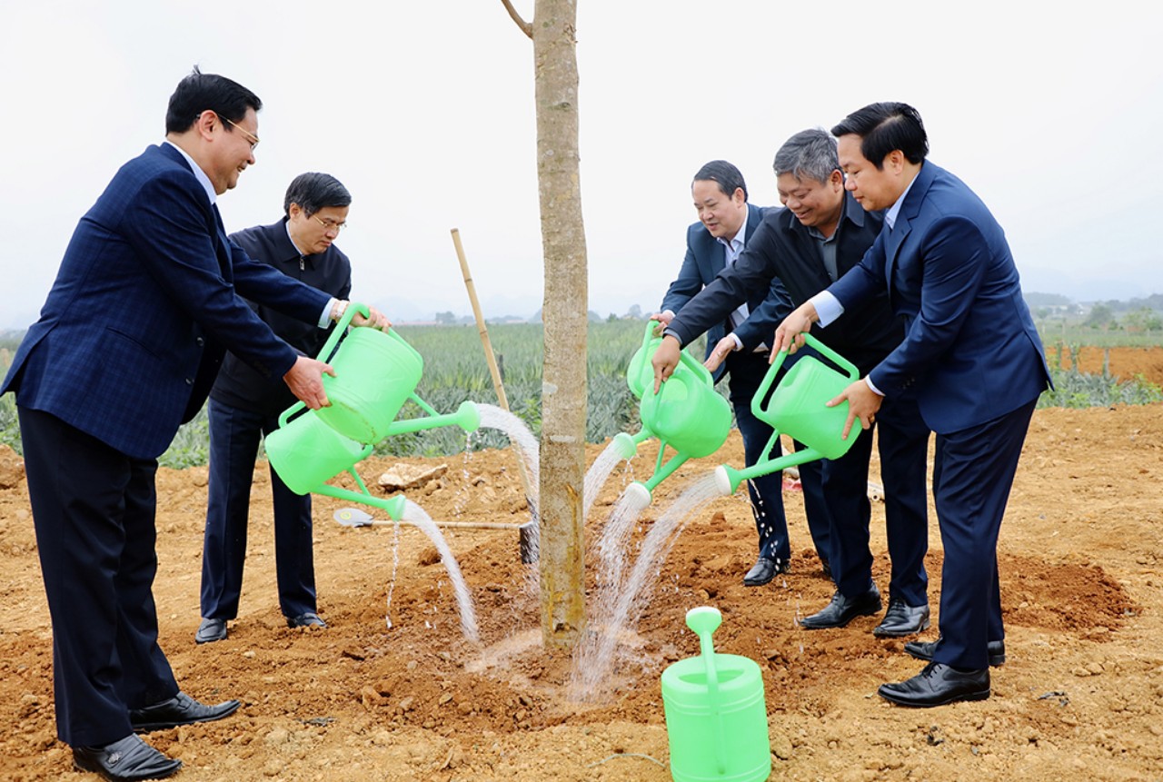 Ninh Bình: Phấn đấu trồng mới trên 1,2 triệu cây xanh trong năm 2024- Ảnh 1.