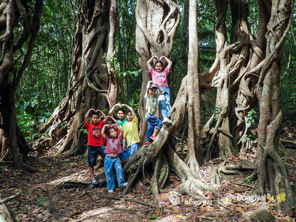 Đi "trốn Tết" ở một khu rừng nổi tiếng giáp ranh Đồng Nai-Lâm Đồng-Bình Phước, thấy vô số động vật sách Đỏ- Ảnh 7.