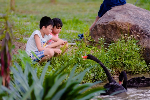 Sống ở Ecopark, trẻ có tuổi thơ gần gũi thiên nhiên- Ảnh 8.