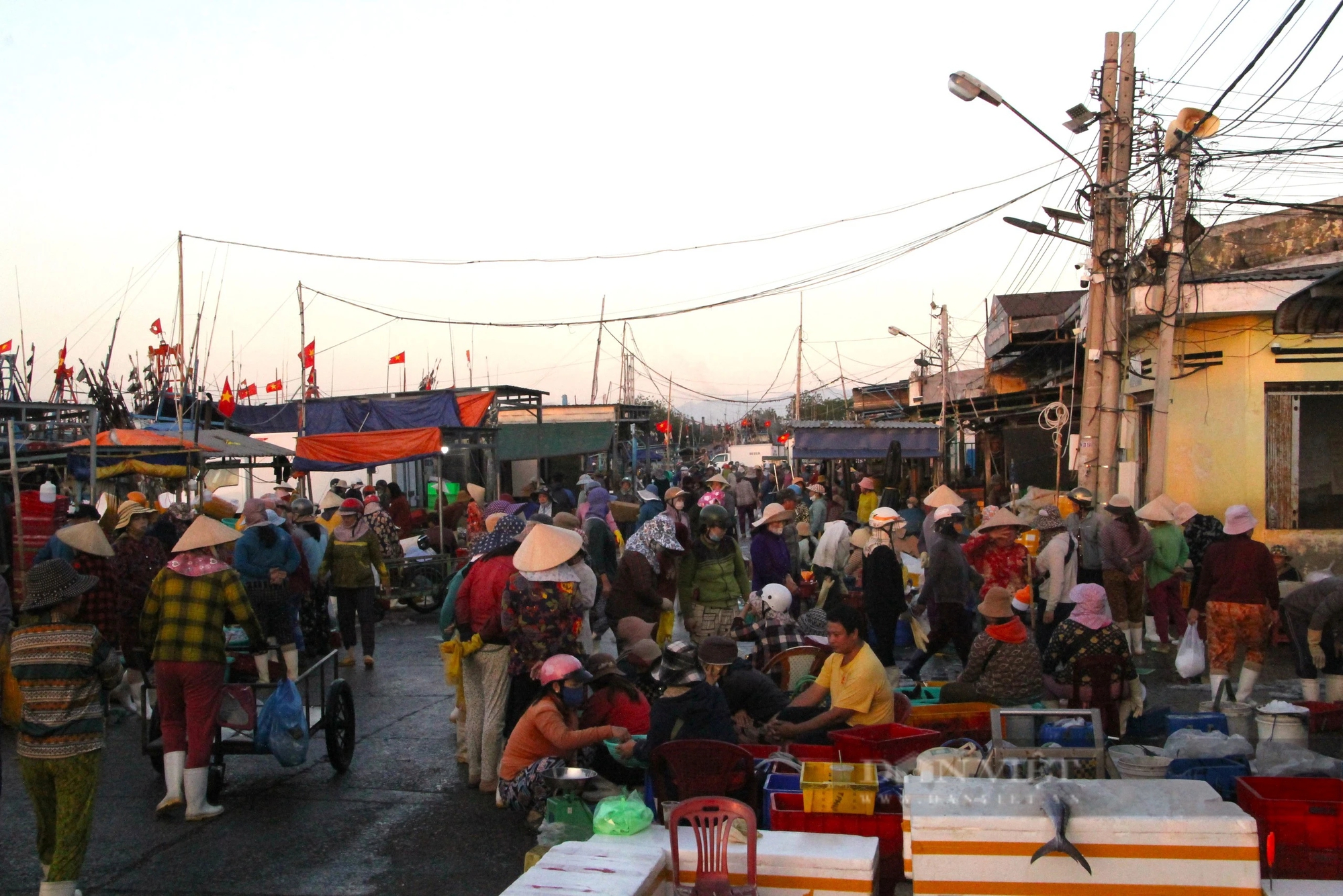 Cảng cá và chợ hải sản lớn nhất Ninh Thuận nhộn nhịp đầu năm Giáp Thìn - 2024- Ảnh 1.