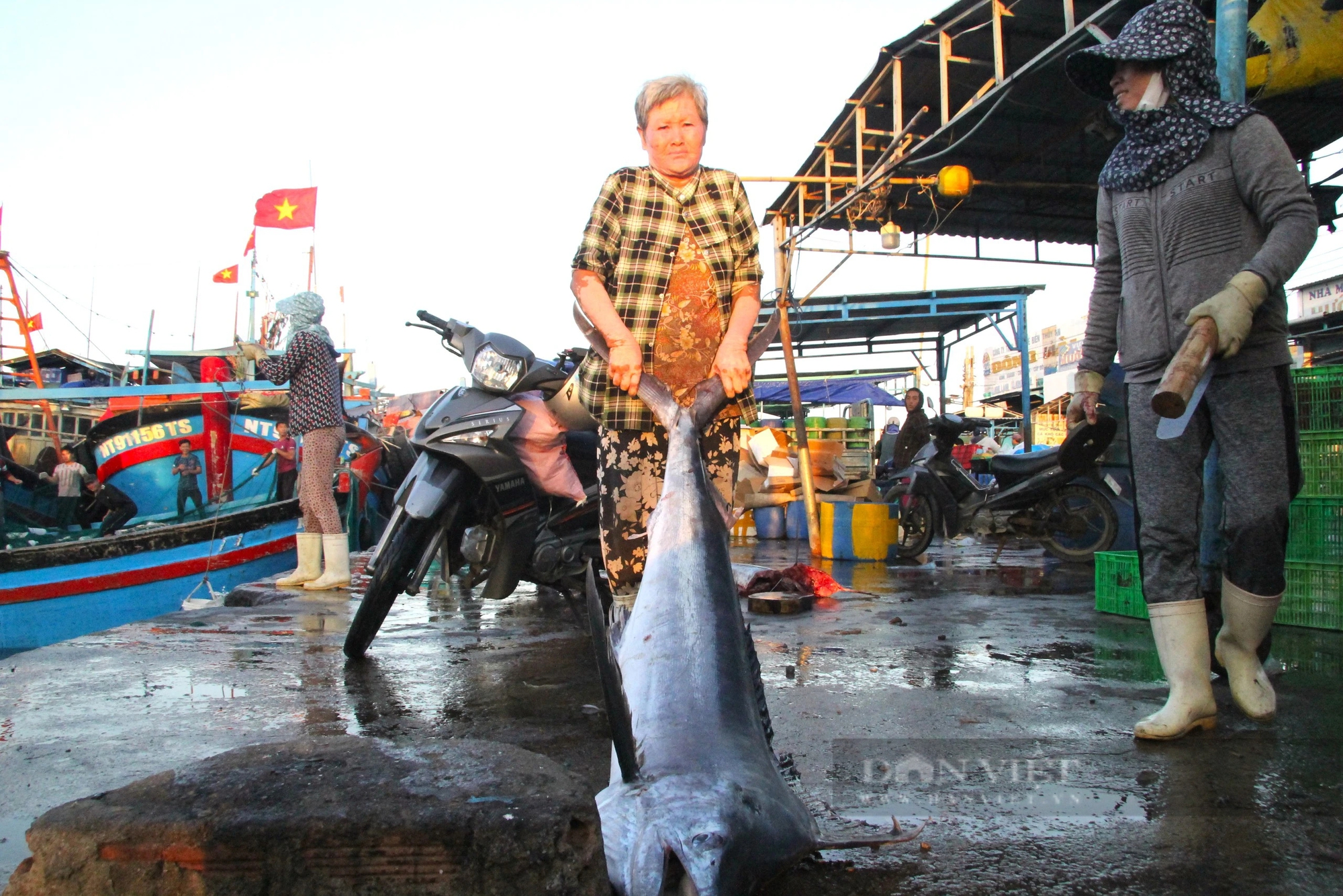 Cảng cá và chợ hải sản lớn nhất Ninh Thuận nhộn nhịp đầu năm Giáp Thìn - 2024- Ảnh 3.