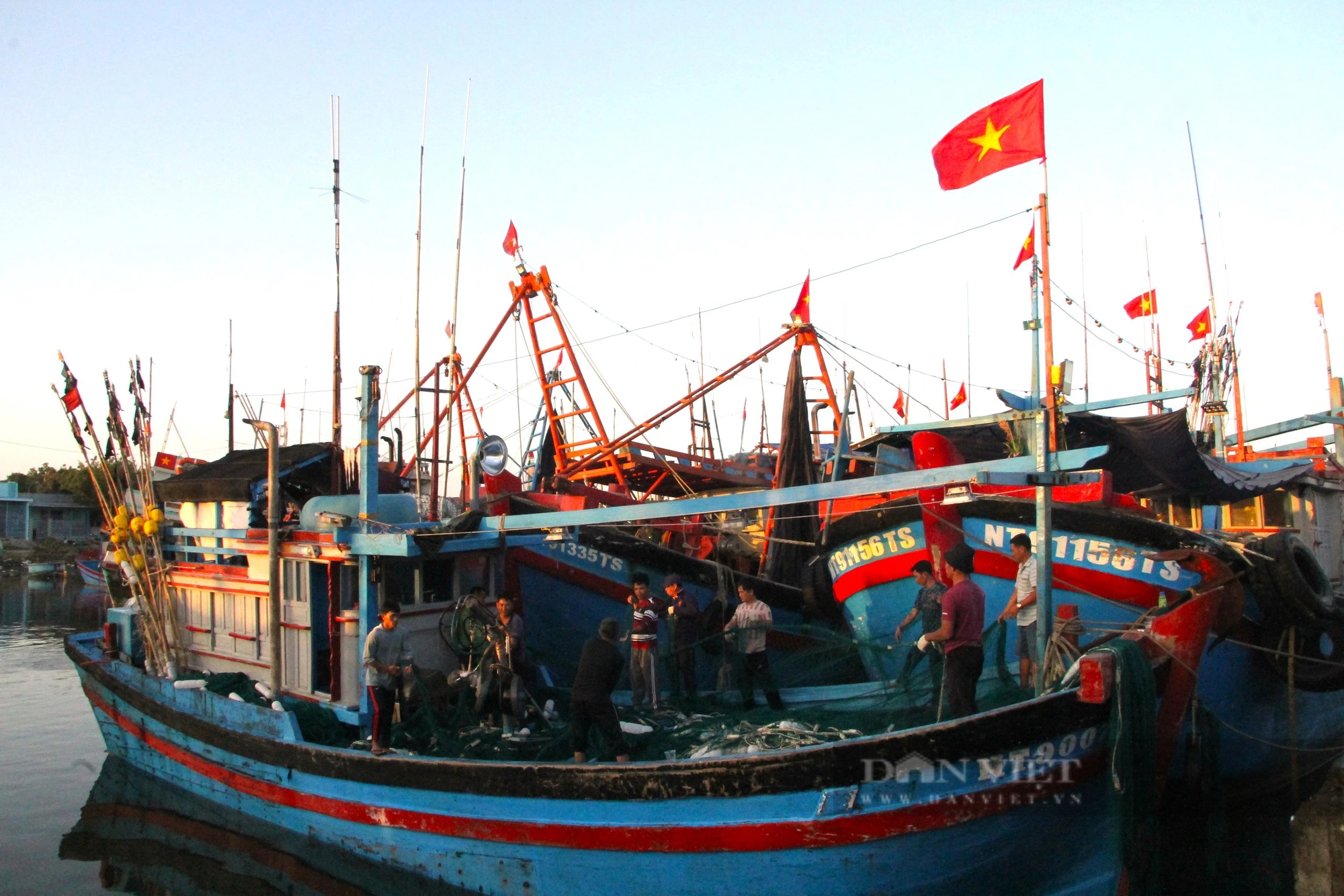 Cảng cá và chợ hải sản lớn nhất Ninh Thuận nhộn nhịp đầu năm Giáp Thìn - 2024- Ảnh 4.