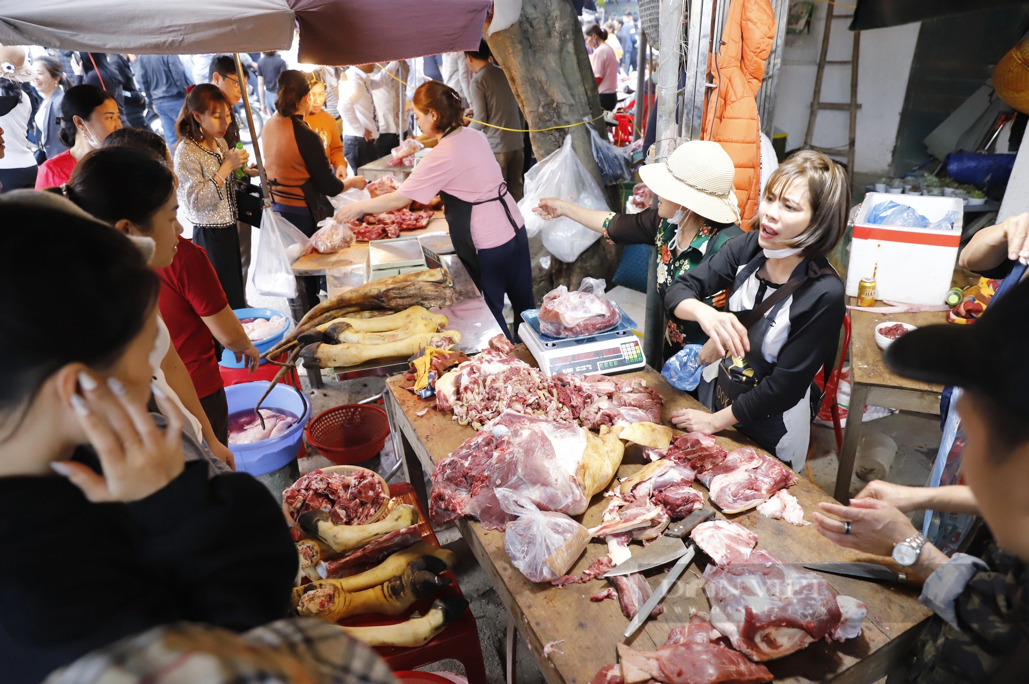 Phí đổi tiền lẻ lên tới 18%, thịt bò giá 250.000 đồng/kg tại chợ Viềng, Phủ Dầy Nam Định hút khách- Ảnh 5.