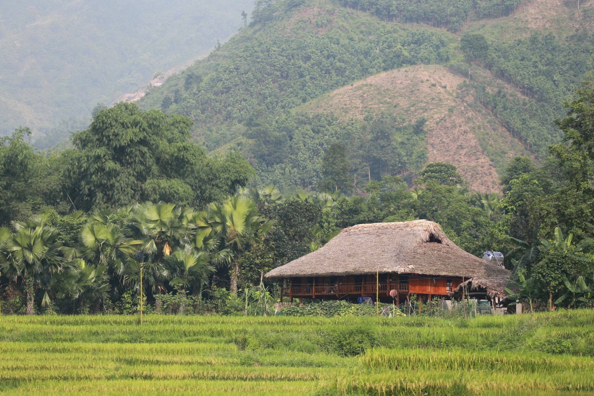 Nông thôn mới Lào Cai: Lan toả Homestay xinh, cổng đẹp, hàng rào cây xanh- Ảnh 5.