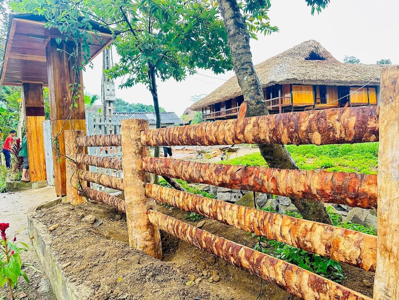 Nông thôn mới Lào Cai: Lan toả Homestay xinh, cổng đẹp, hàng rào cây xanh- Ảnh 1.