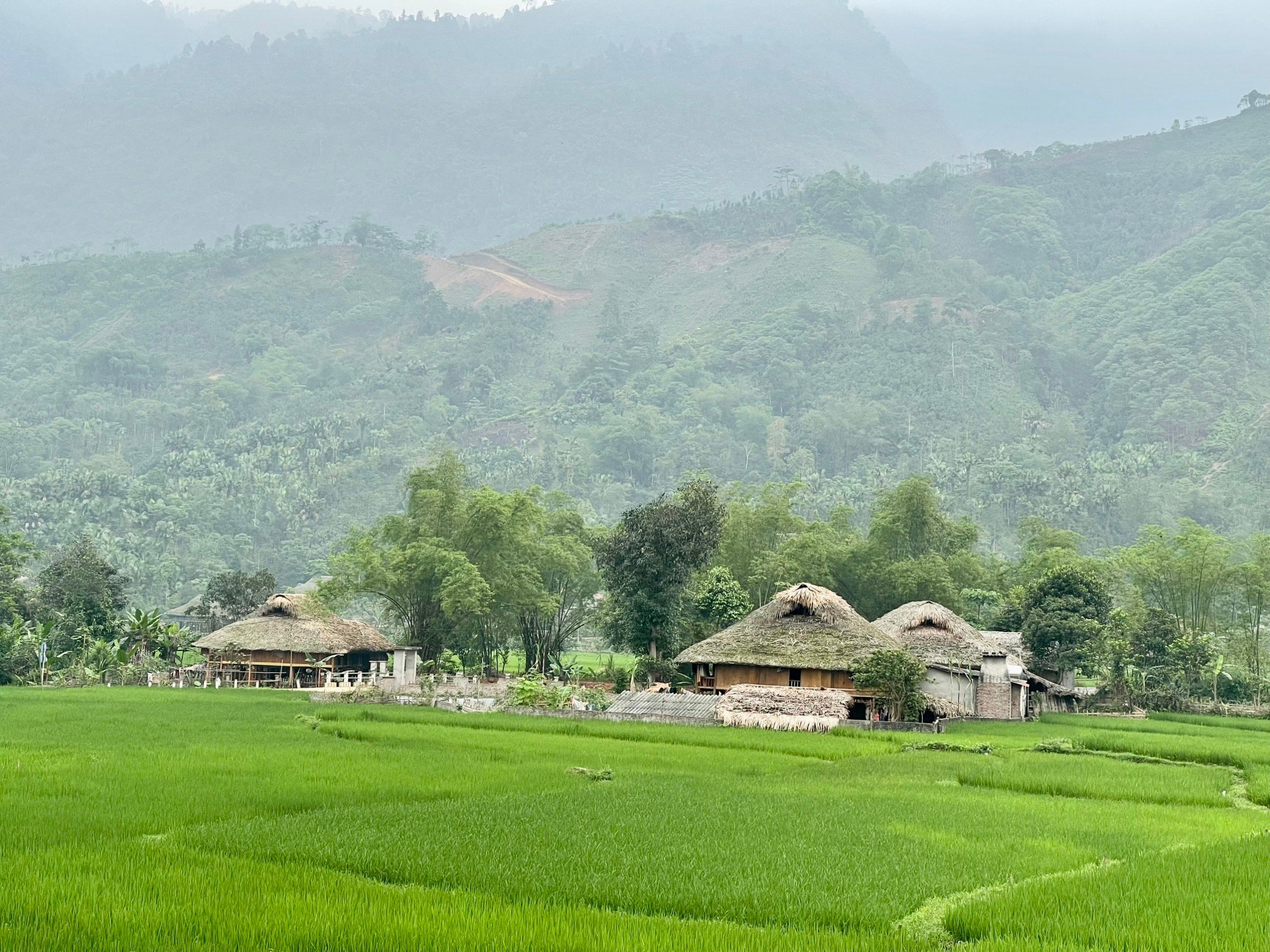Nông thôn mới Lào Cai: Lan toả Homestay xinh, cổng đẹp, hàng rào cây xanh- Ảnh 13.