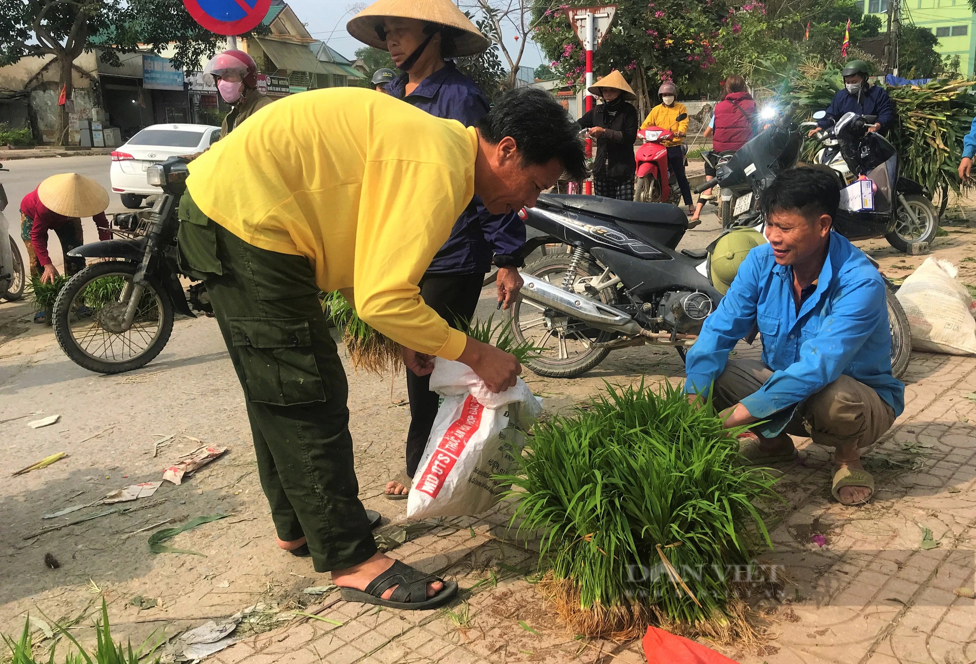 Chợ quê Nghệ An ai đi qua đều thấy lạ lắm, chỉ bán một loại cây mà rôm rả cả làng- Ảnh 1.