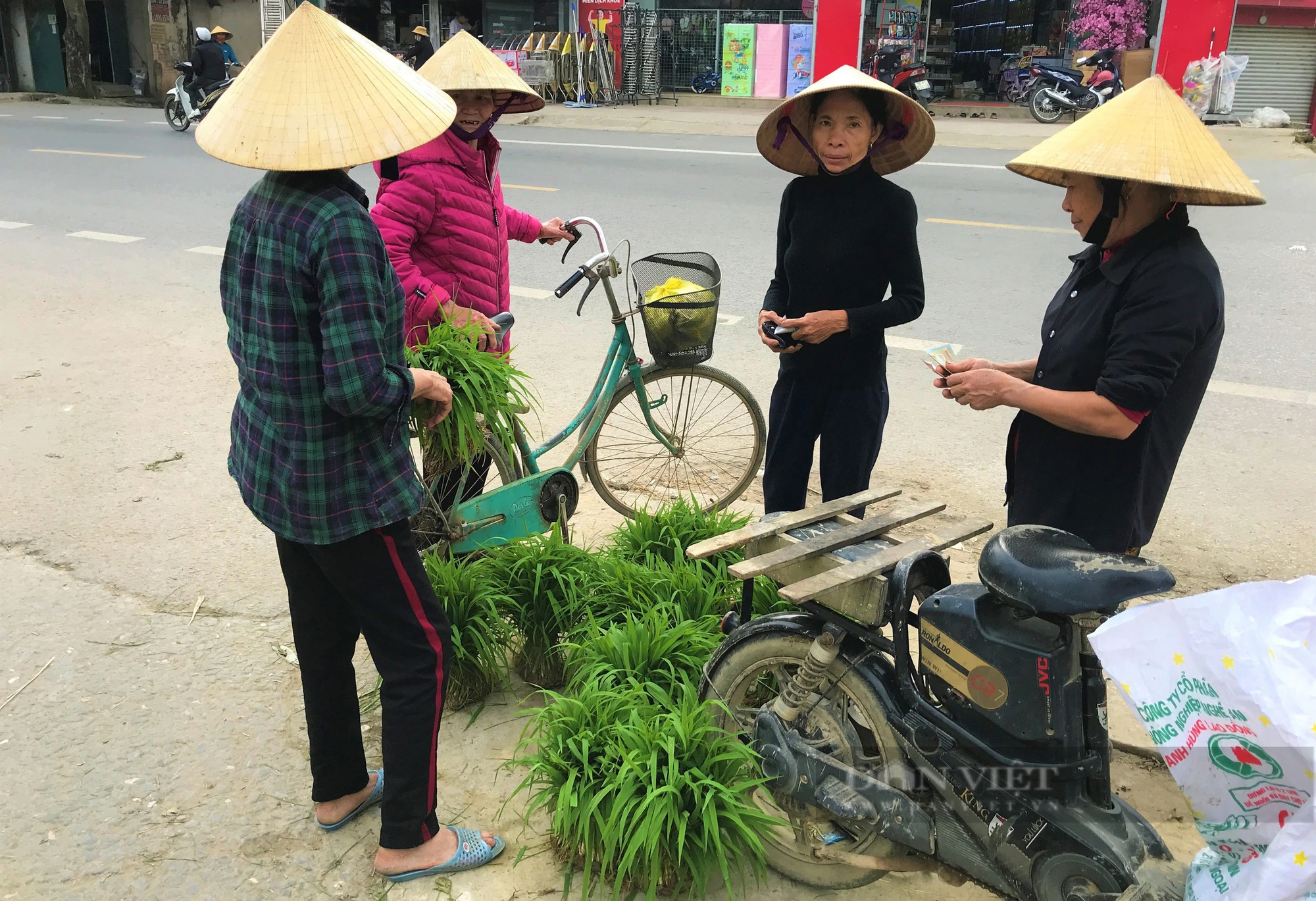 Chợ quê Nghệ An ai đi qua đều thấy lạ lắm, chỉ bán một loại cây mà rôm rả cả làng- Ảnh 4.