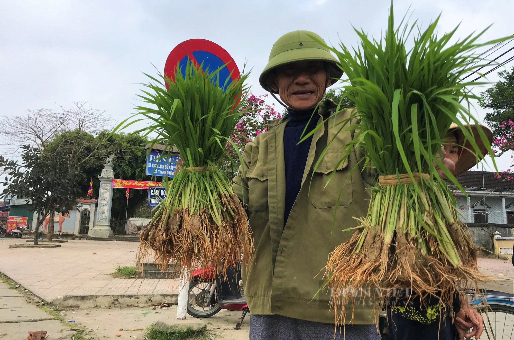 Chợ quê Nghệ An ai đi qua đều thấy lạ lắm, chỉ bán một loại cây mà rôm rả cả làng- Ảnh 5.