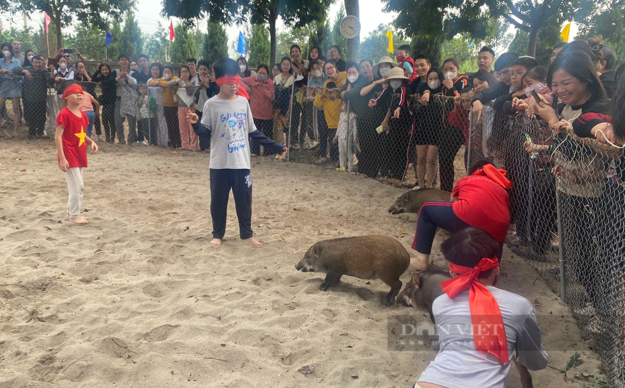Trẻ em thích thú với trò chơi bịt mắt bắt lợn tại lễ hội ở quận Hà Đông- Ảnh 2.