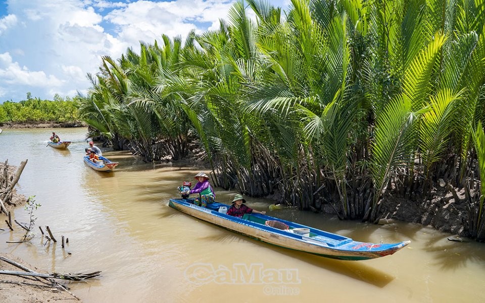 Vô rừng ở Cà Mau đào hang bắt con gì mà dân bán cho thiên hạ làm vô số món ngon, lạ miệng?- Ảnh 1.