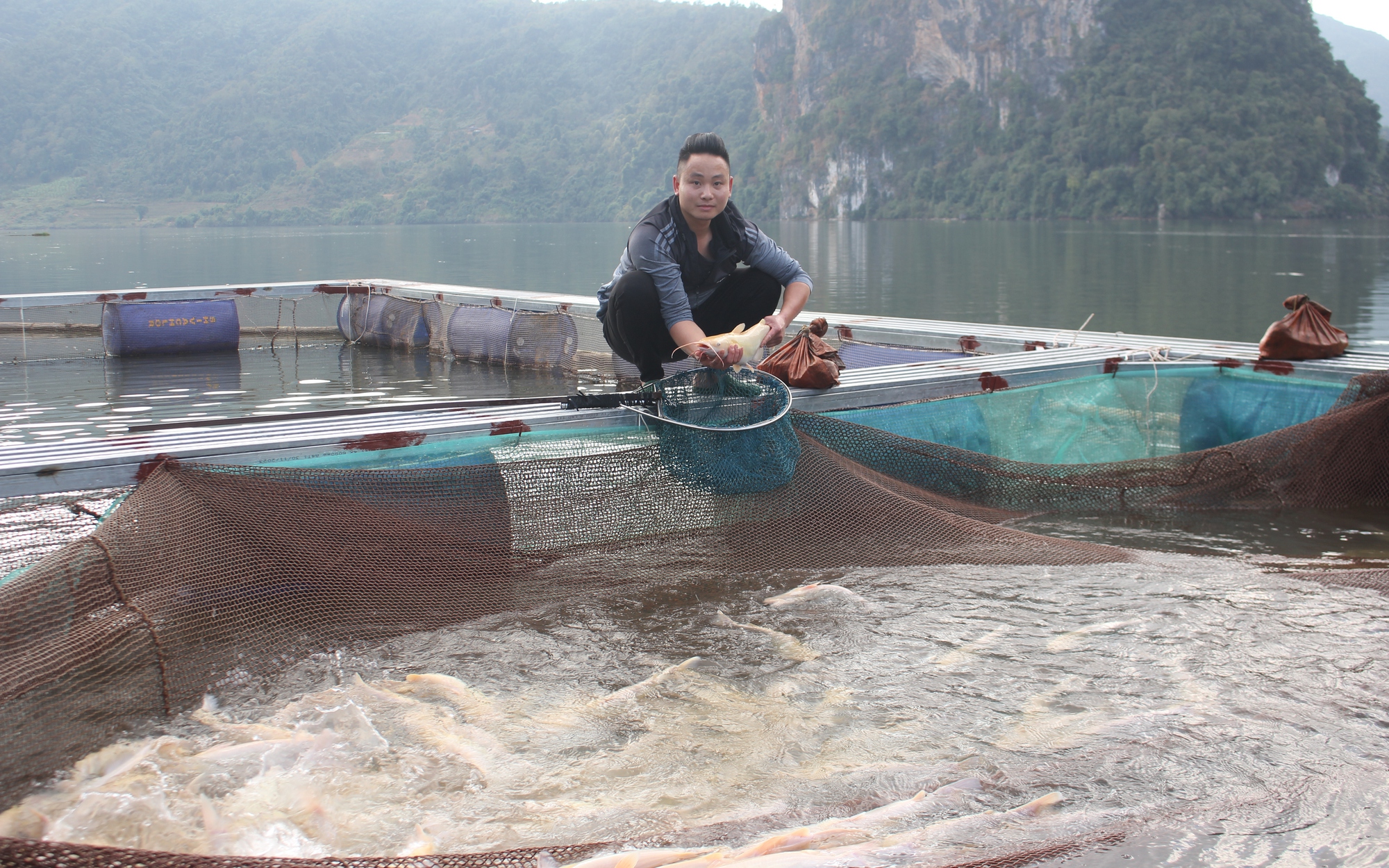 Ở một hồ nước nhân tạo nổi tiếng Lai Châu, anh trai bản nuôi cá đặc sản gì mà lãi 300 triệu/năm?