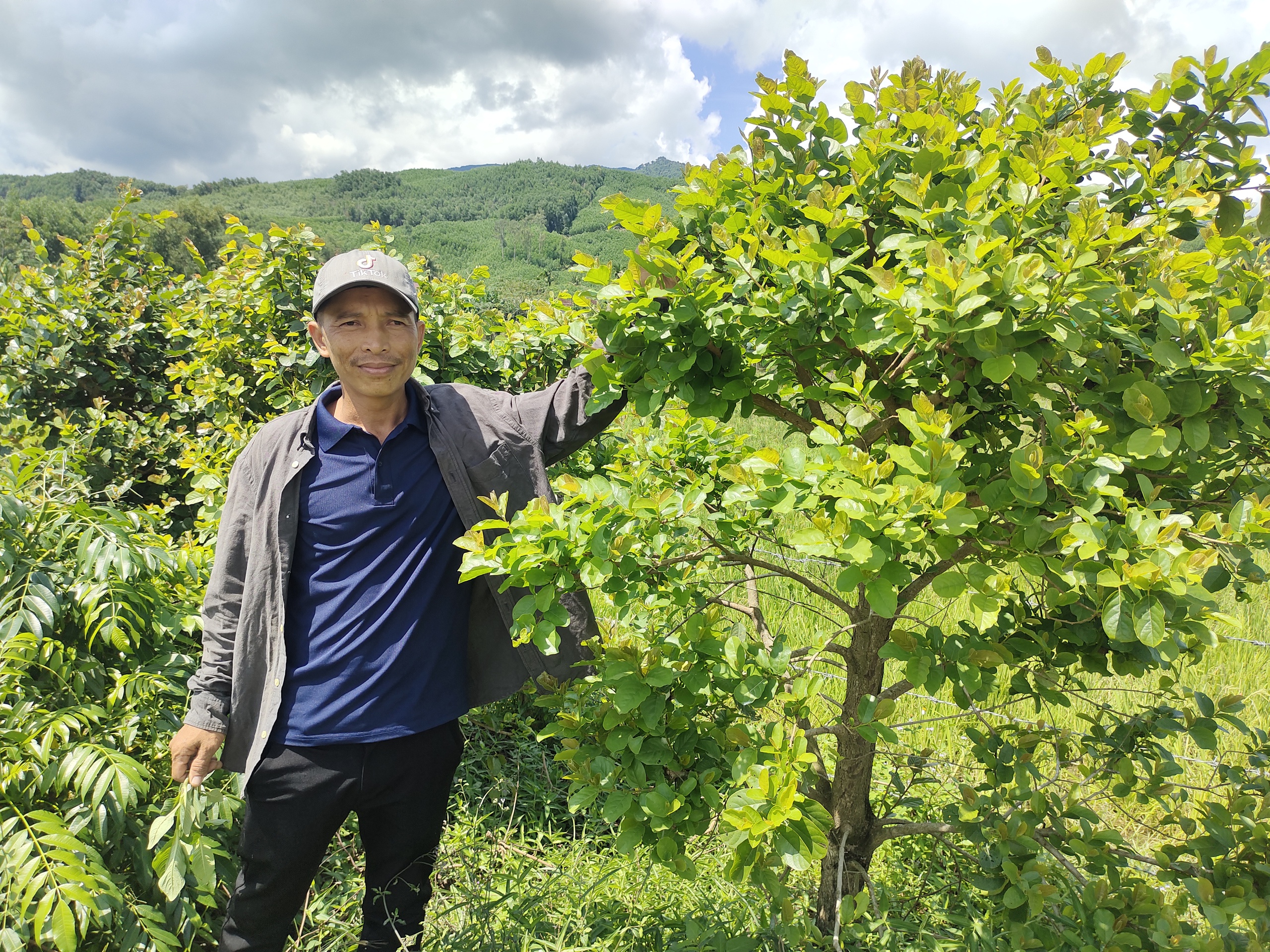 Trồng rau rừng đặc sản, một nông dân Bình Định chăm nhàn tênh, bán đắt hàng- Ảnh 2.