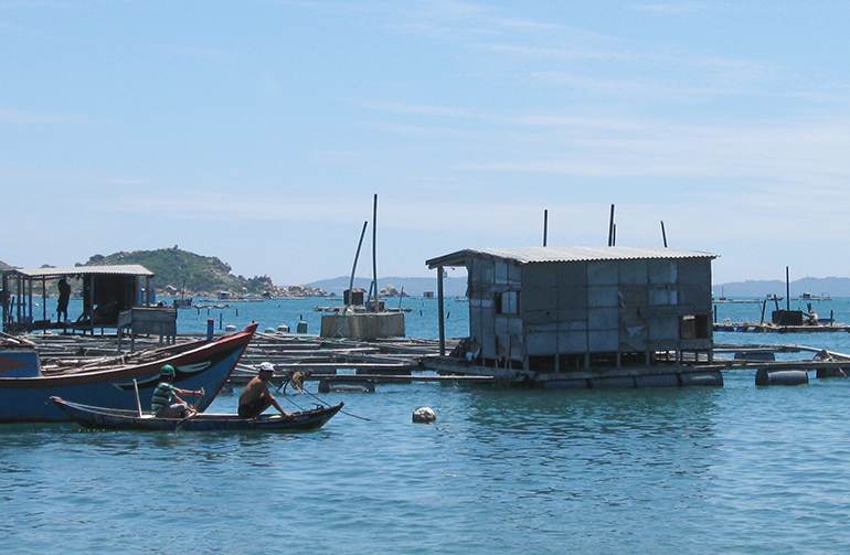 Đây là một vịnh biển đẹp như phim ở Phú Yên, cảnh sắc ví như được trời ban- Ảnh 4.