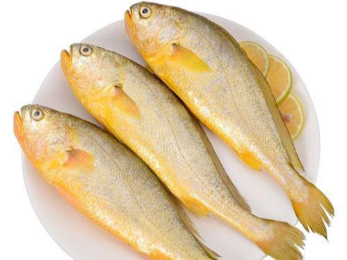 Những loại cá này ai đi chợ thấy thì nên mua ngay bởi cá ngọt thịt, ít xương lại giàu dinh dưỡng- Ảnh 9.