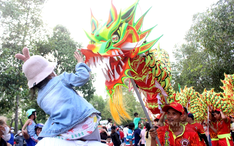 "Con rồng dài nhất Việt Nam" tham gia Lễ rước cộ bà Bình Dương năm 2024- Ảnh 9.