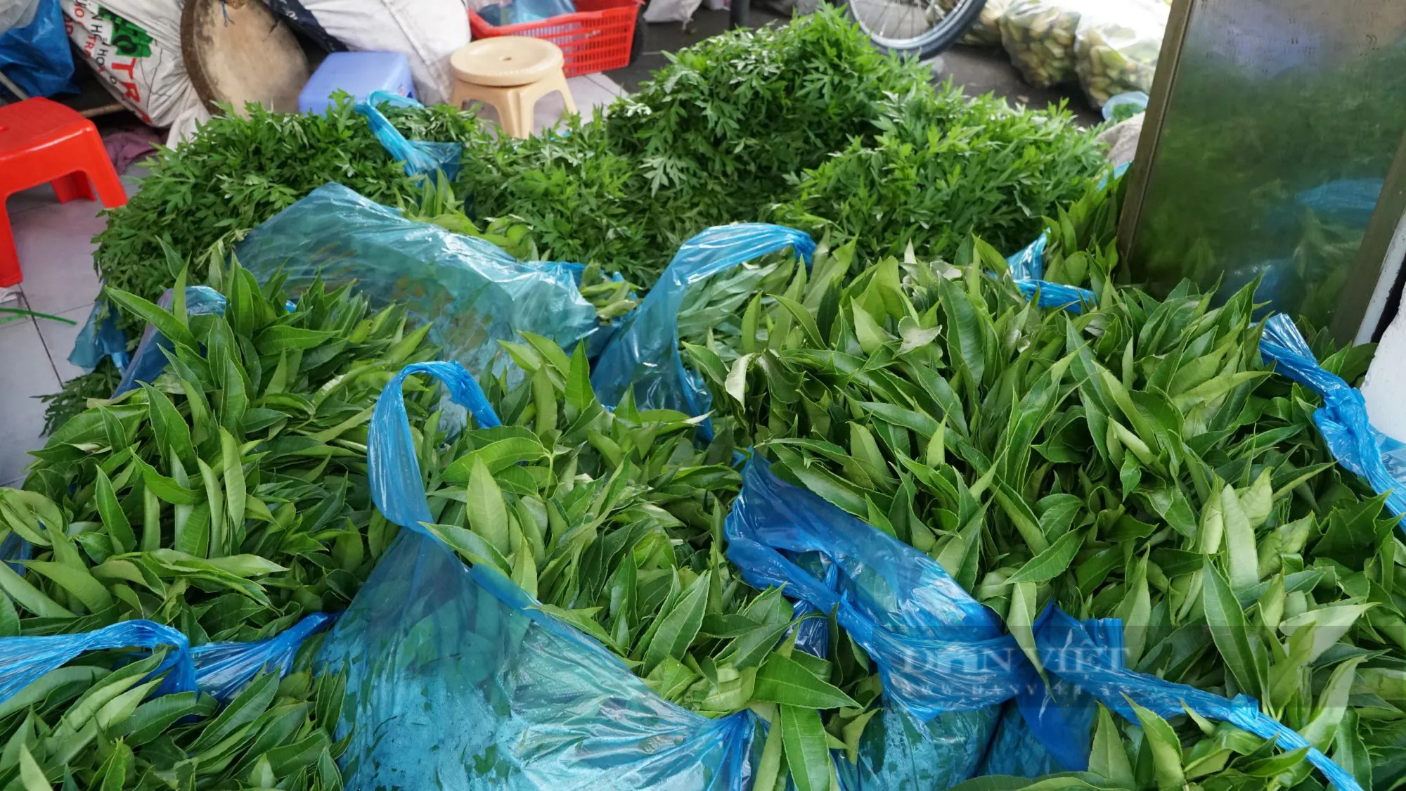Hàng tấn cá được chuẩn bị bán trước ngày vía Thần Tài ở phố cá lóc nướng Sài Gòn- Ảnh 5.