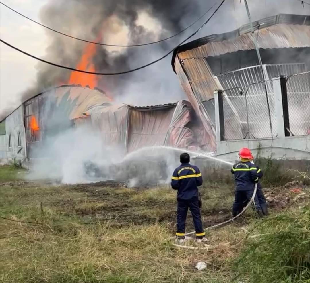 Cháy lớn một vựa xoài, 3 chị em ở Khánh Hòa chạy thoát thân- Ảnh 1.