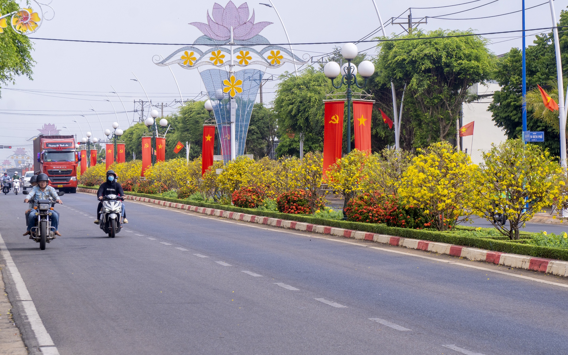 Hơn 1.000 cây mai vàng làm nên con đường hoa đẹp mê mẩn ở một thị trấn của Bà Rịa-Vũng Tàu