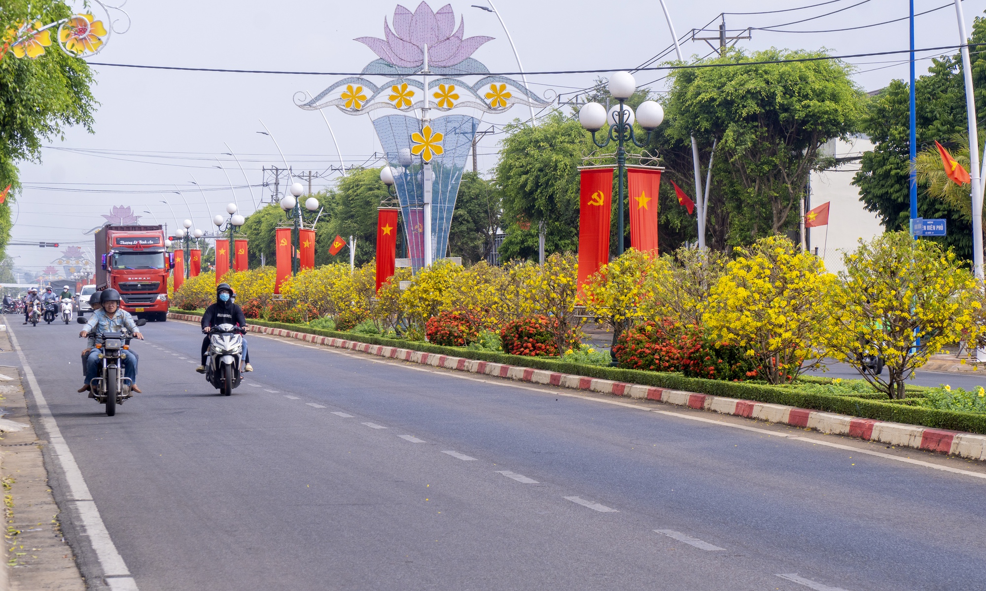Hơn 1.000 cây mai vàng làm nên con đường hoa đẹp mê mẩn ở một thị trấn của Bà Rịa-Vũng Tàu- Ảnh 3.