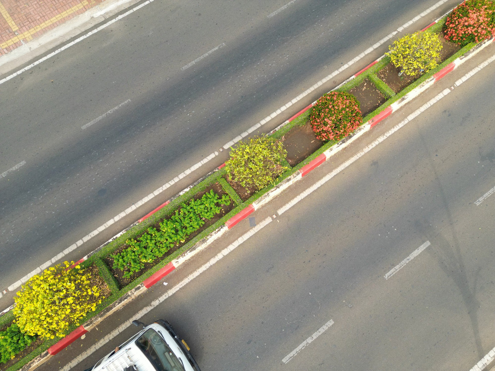 Hơn 1.000 cây mai vàng làm nên con đường hoa đẹp mê mẩn ở một thị trấn của Bà Rịa-Vũng Tàu- Ảnh 7.