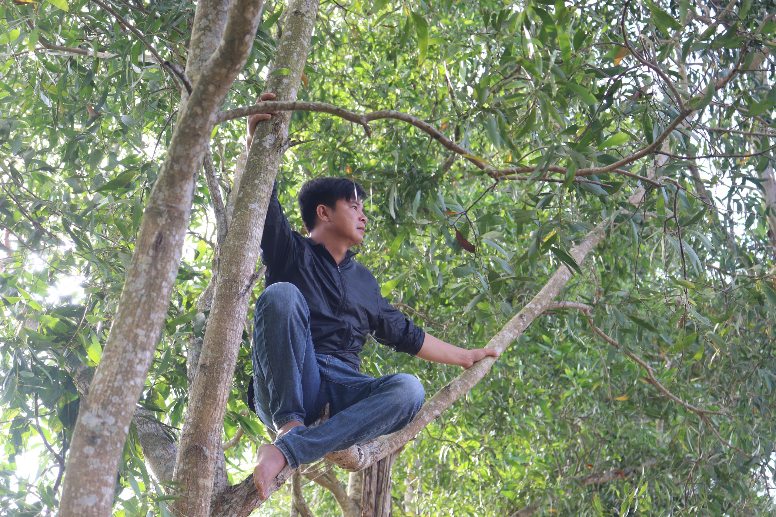 Người dân chen chúc, leo lên cây để xem lễ hội đua ngựa tại Phú Yên- Ảnh 4.