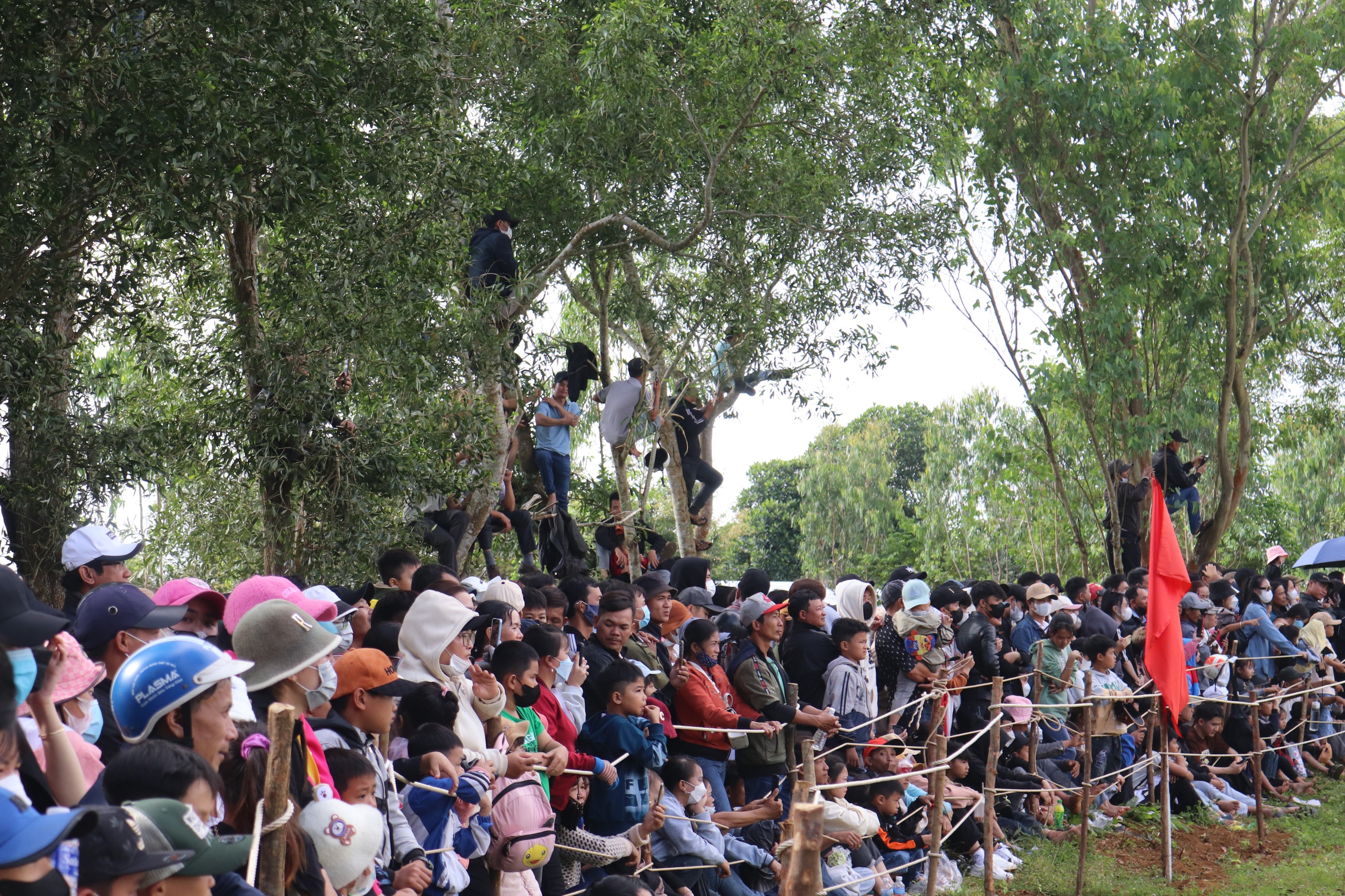 Người dân chen chúc, leo lên cây để xem lễ hội đua ngựa tại Phú Yên- Ảnh 5.