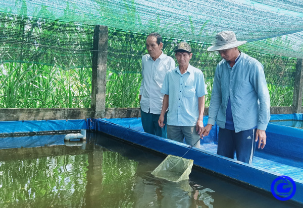 Anh nông dân Tiền Giang tự trả lương cao 20-25 triệu/tháng nhờ nuôi thứ cá bán cho thiên hạ giải trí- Ảnh 2.
